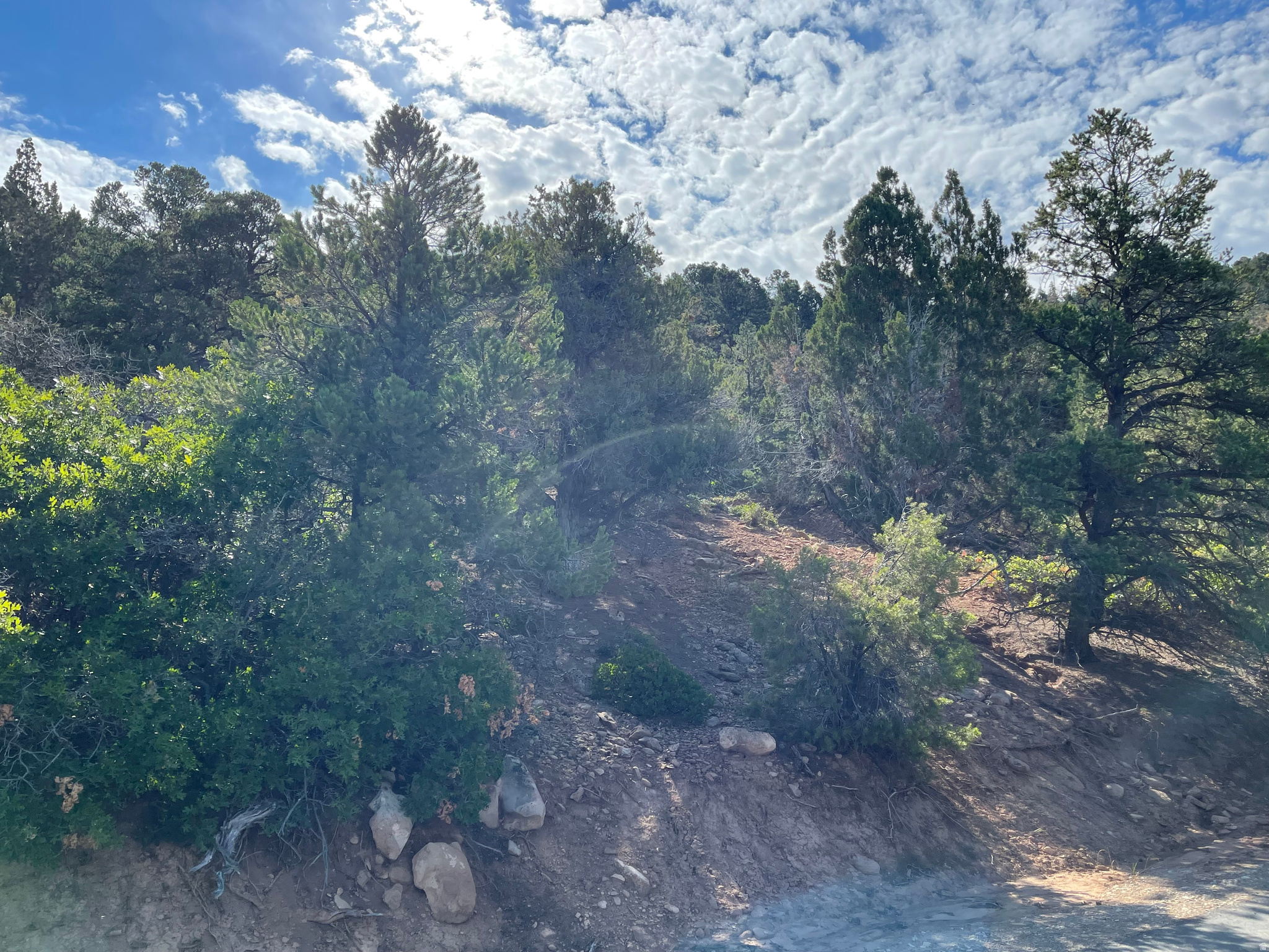 HORSESHOE MT RANCH - Land