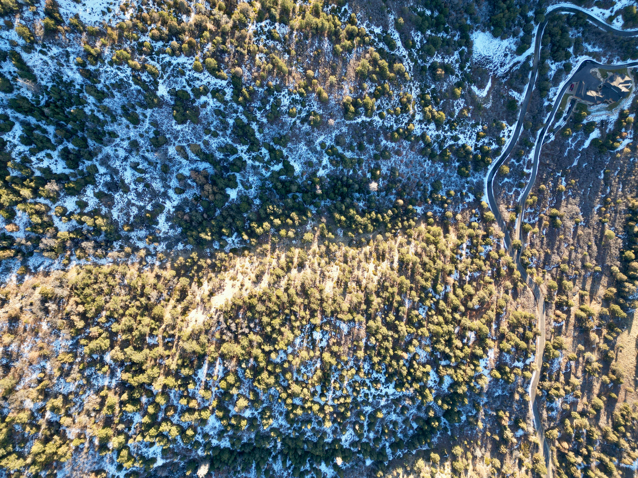 HORSESHOE MT RANCH - Land