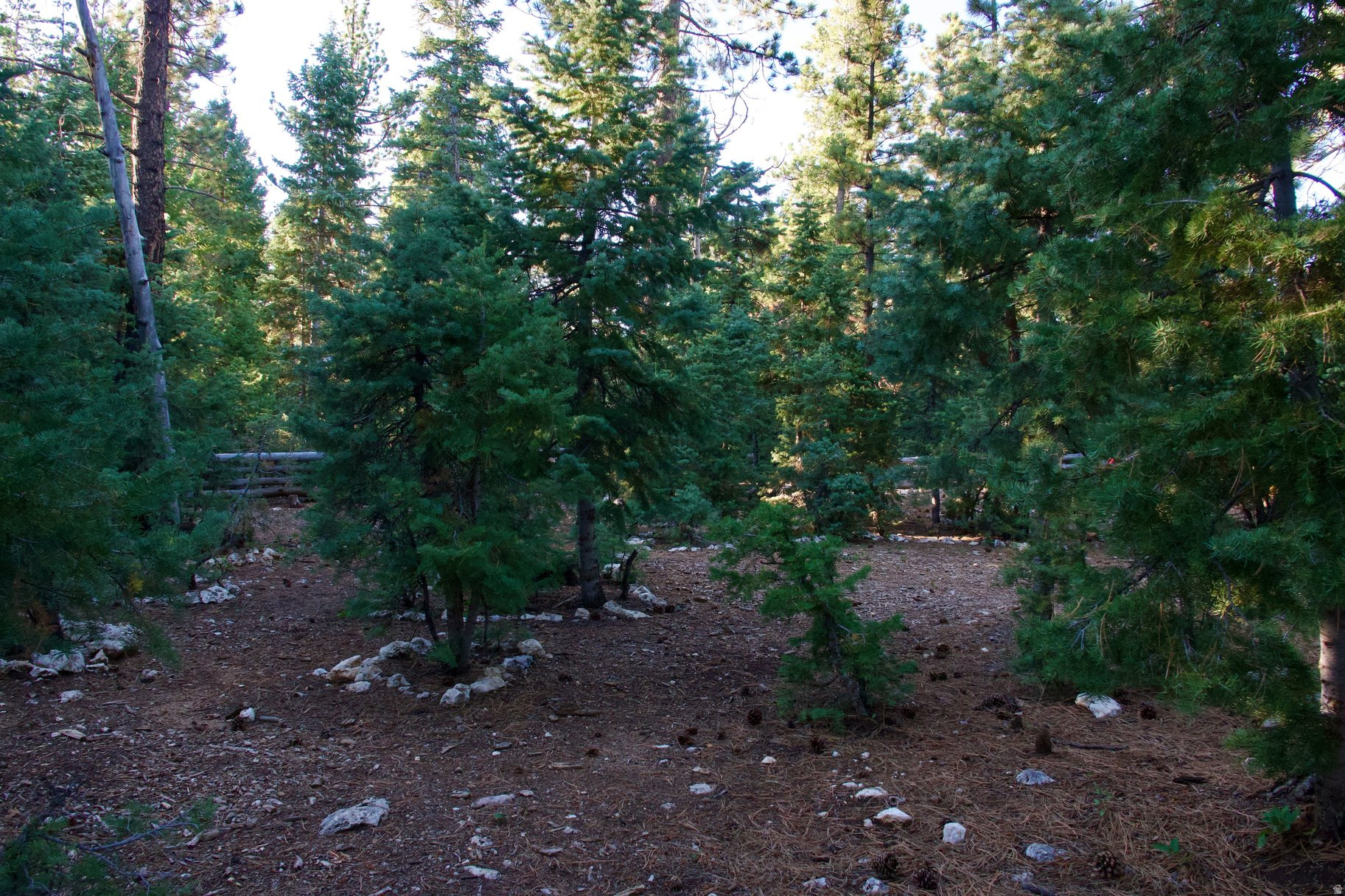 MEADOW VIEW ESTATES - Residential