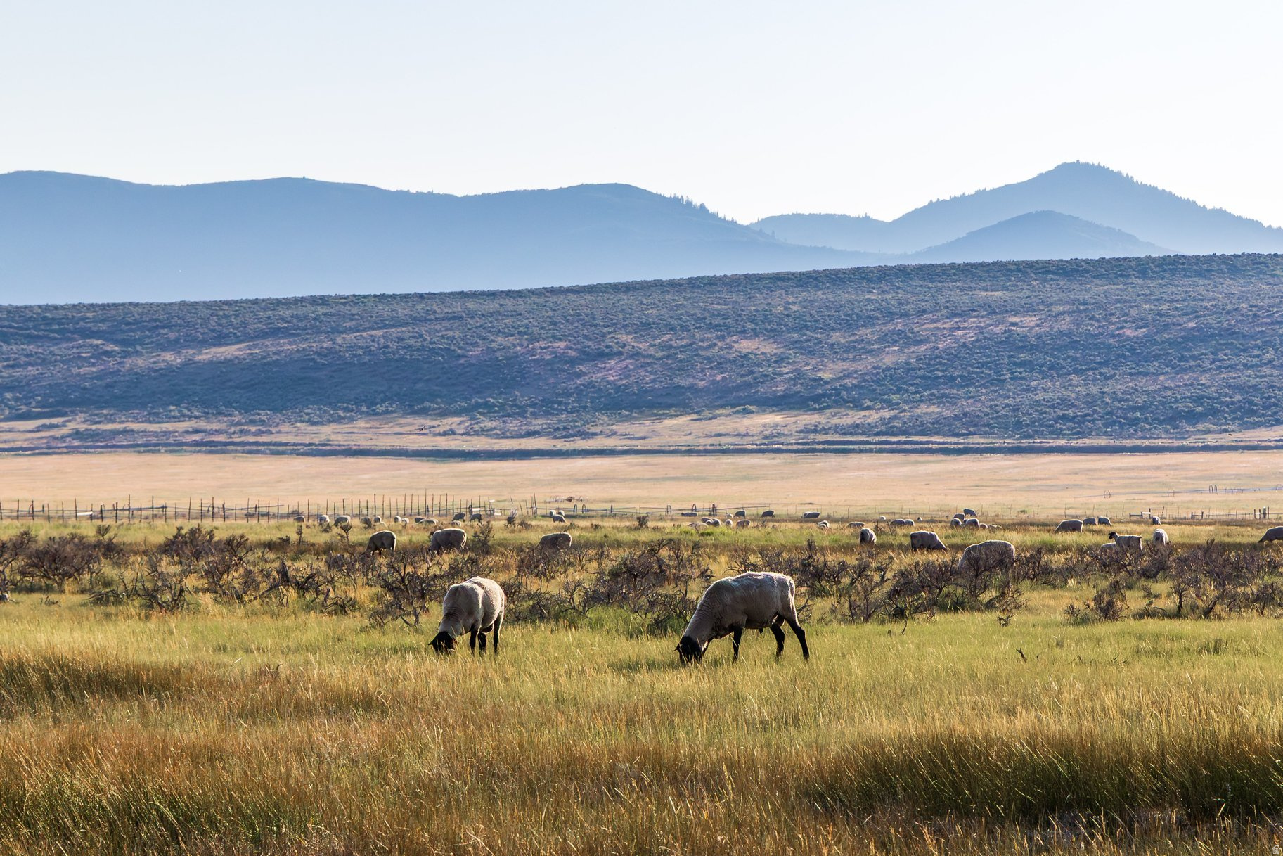 EAST CREEK RANCH - Residential
