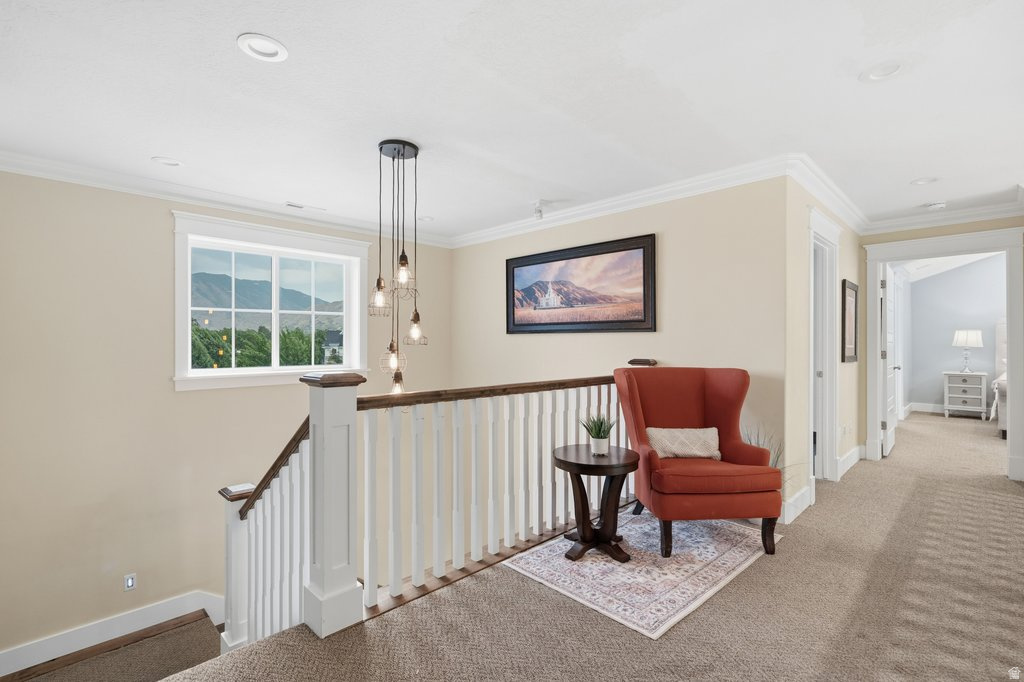 THE PRESERVE AT MAPLETON - Residential