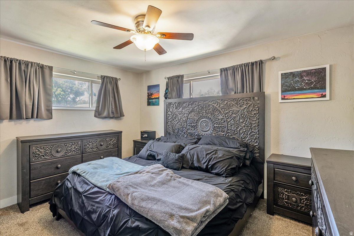 PLEASANT GREEN ACRES - Residential
