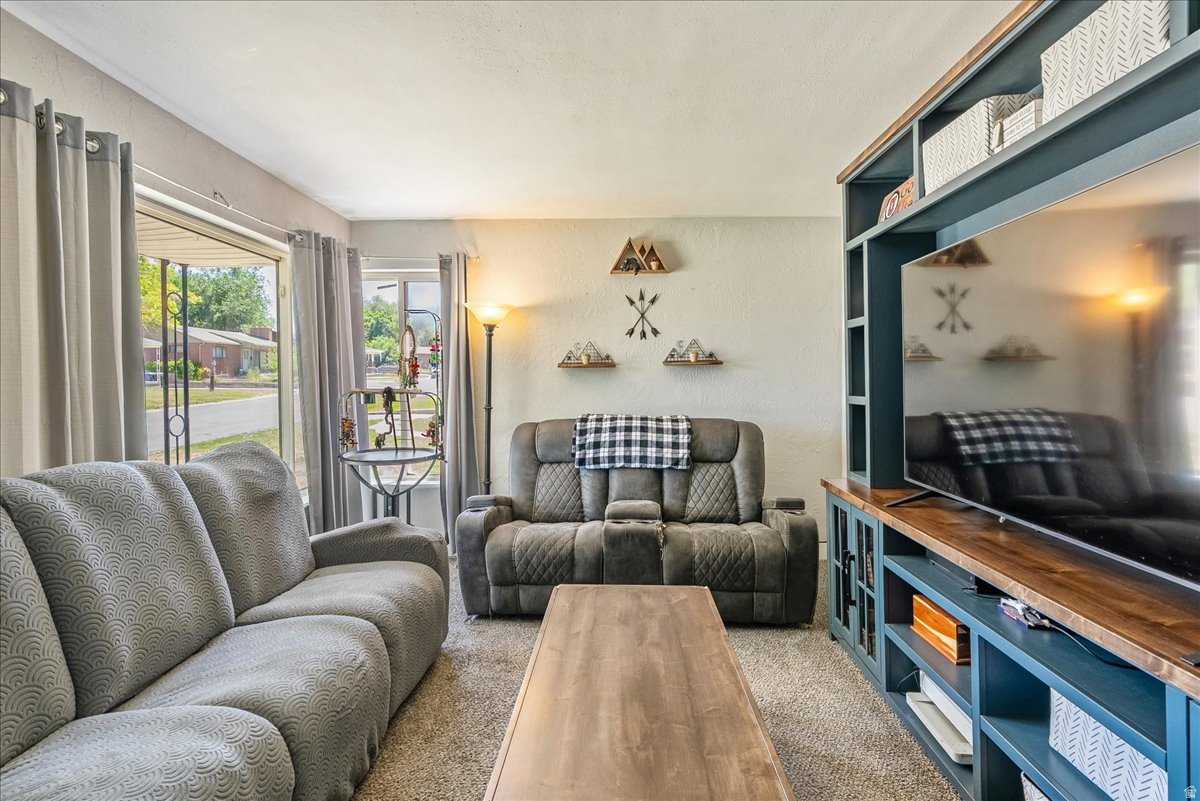PLEASANT GREEN ACRES - Residential