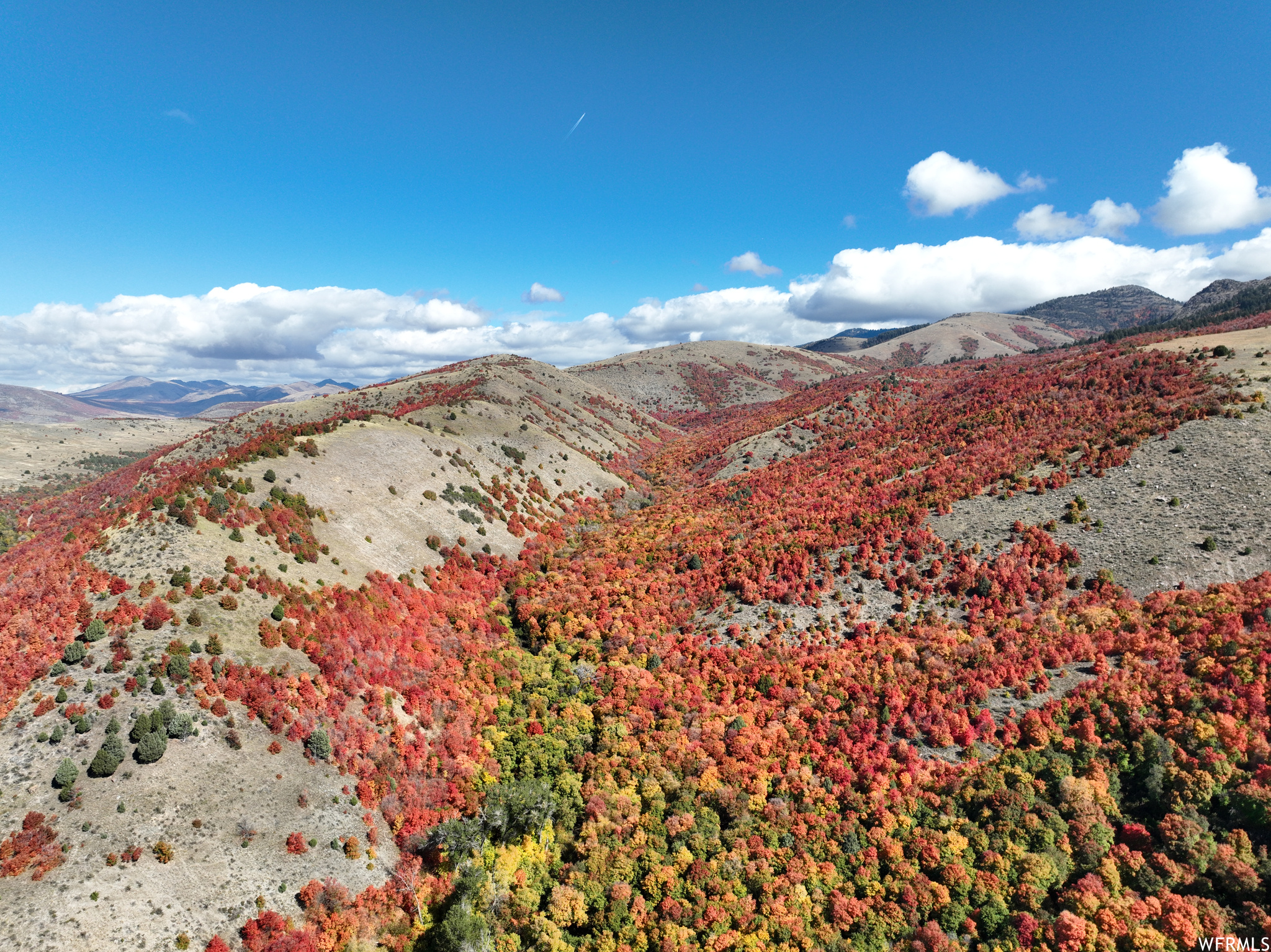 MAPLE CREEK RANCH P4 - Land