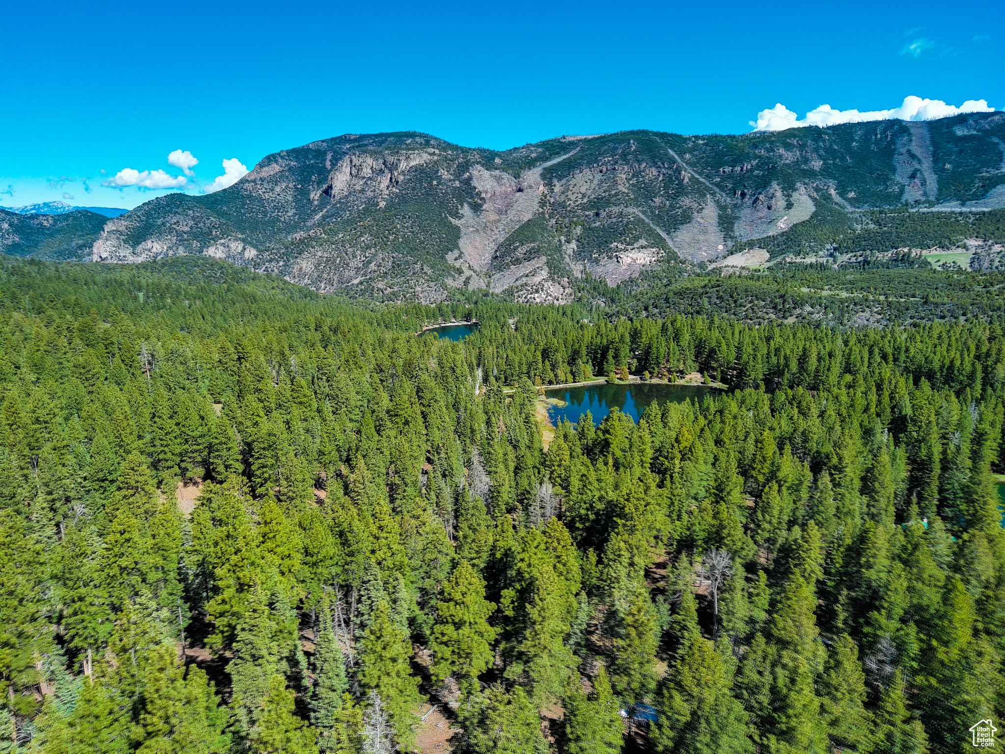 WHISPERING PINES - Land