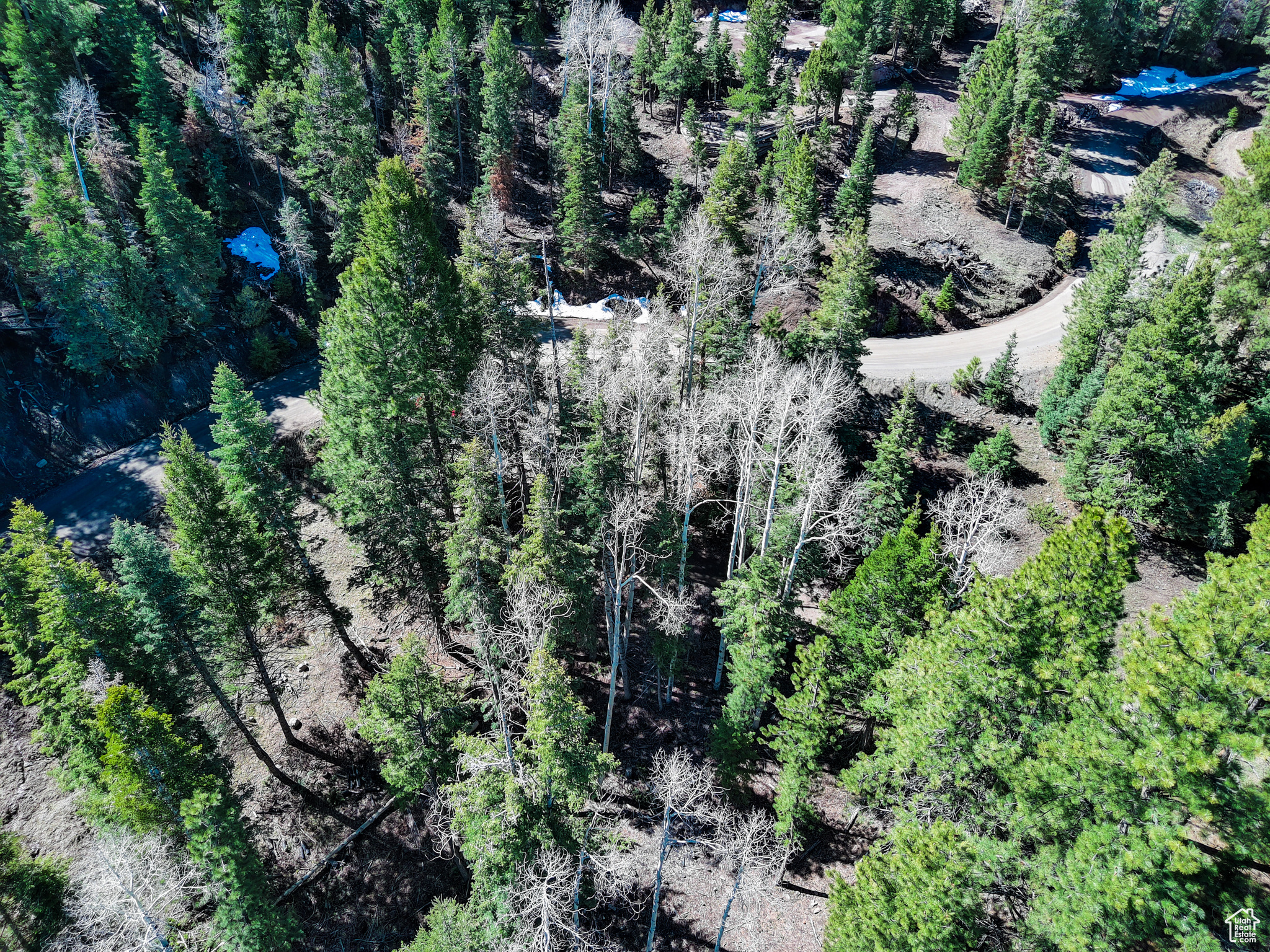 WHISPERING PINES - Land