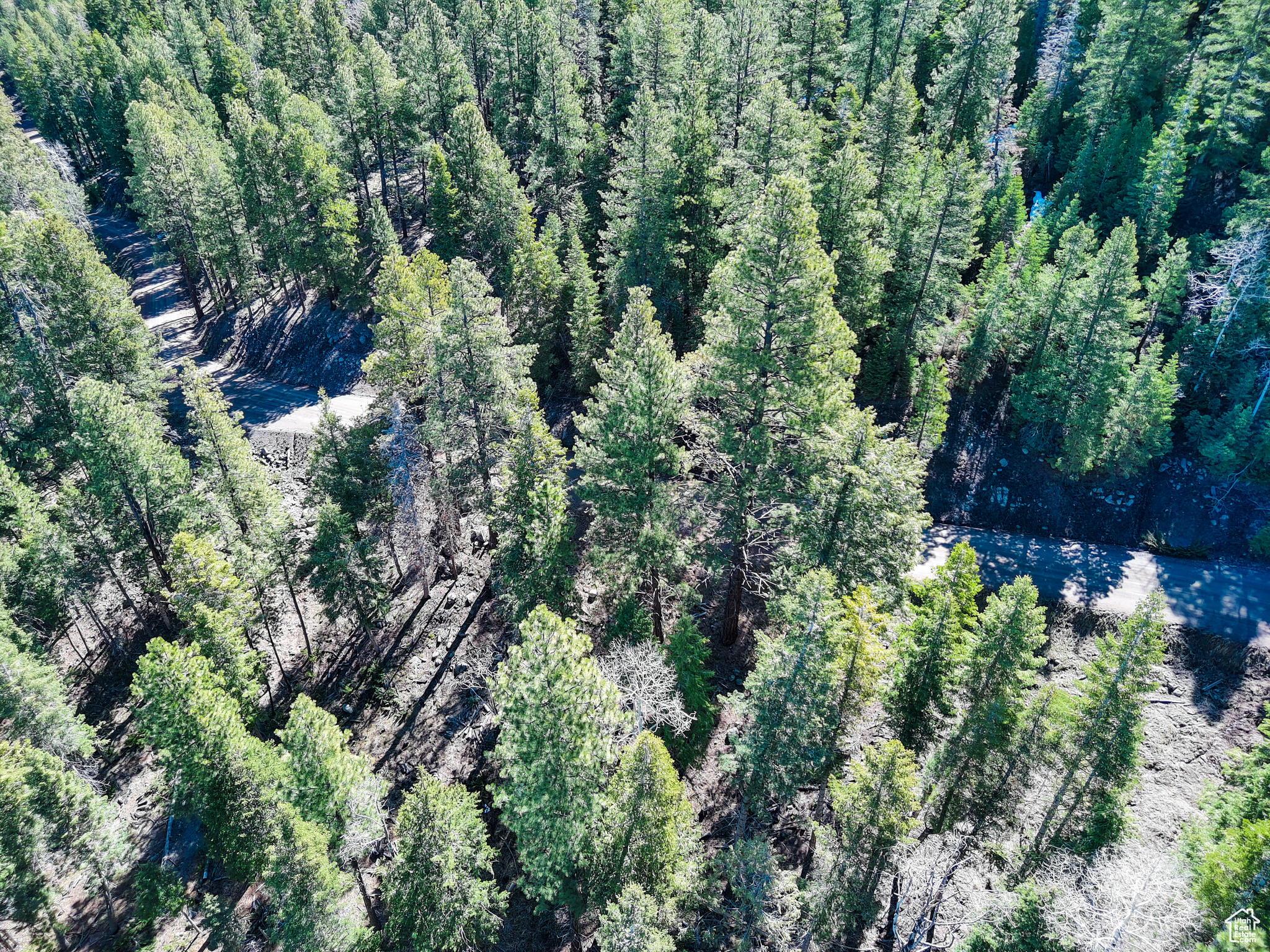 WHISPERING PINES - Land