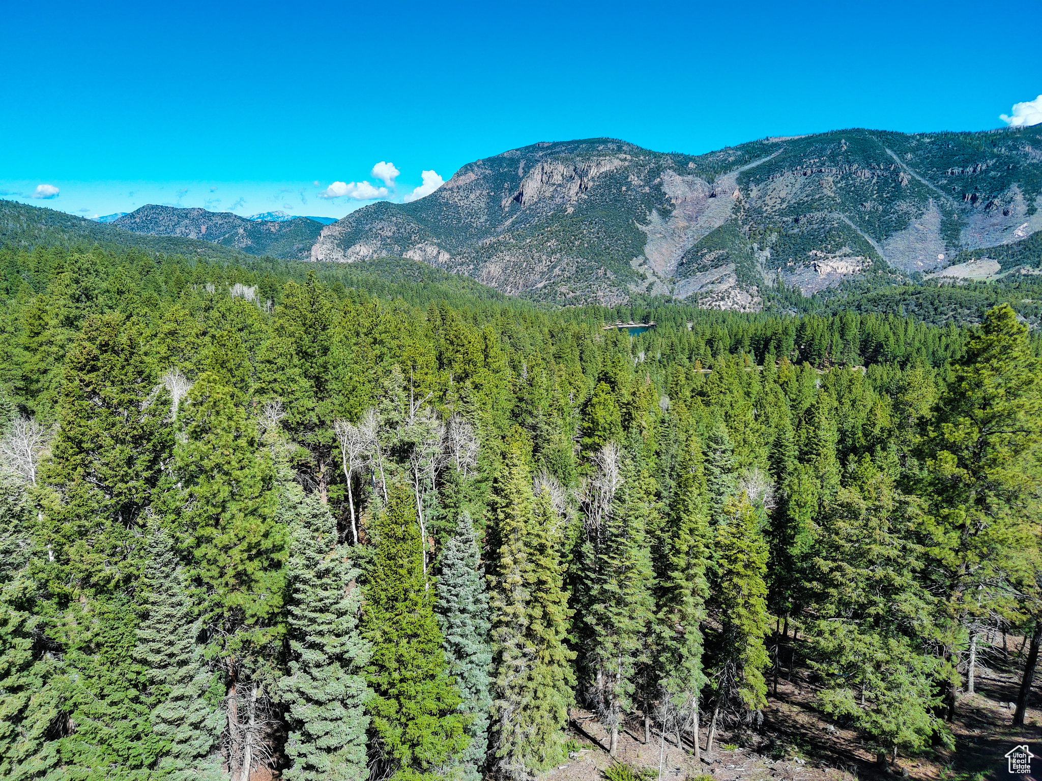 WHISPERING PINES - Land