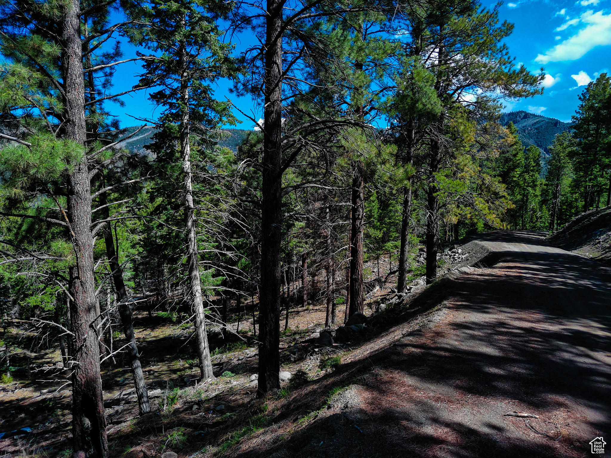 WHISPERING PINES - Land