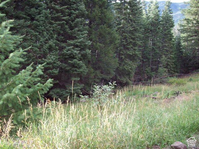 WHISPERING PINES - Land