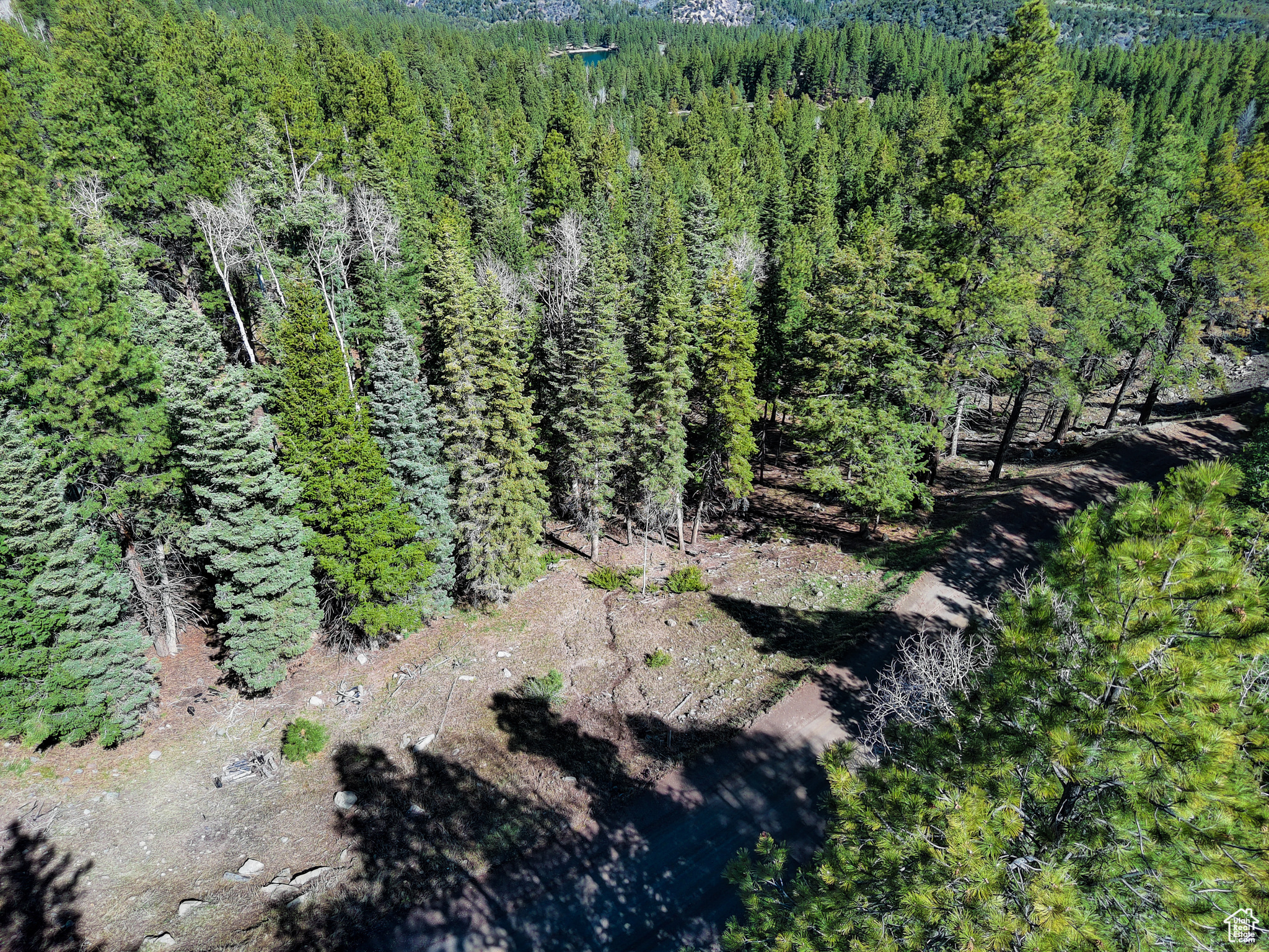 WHISPERING PINES - Land