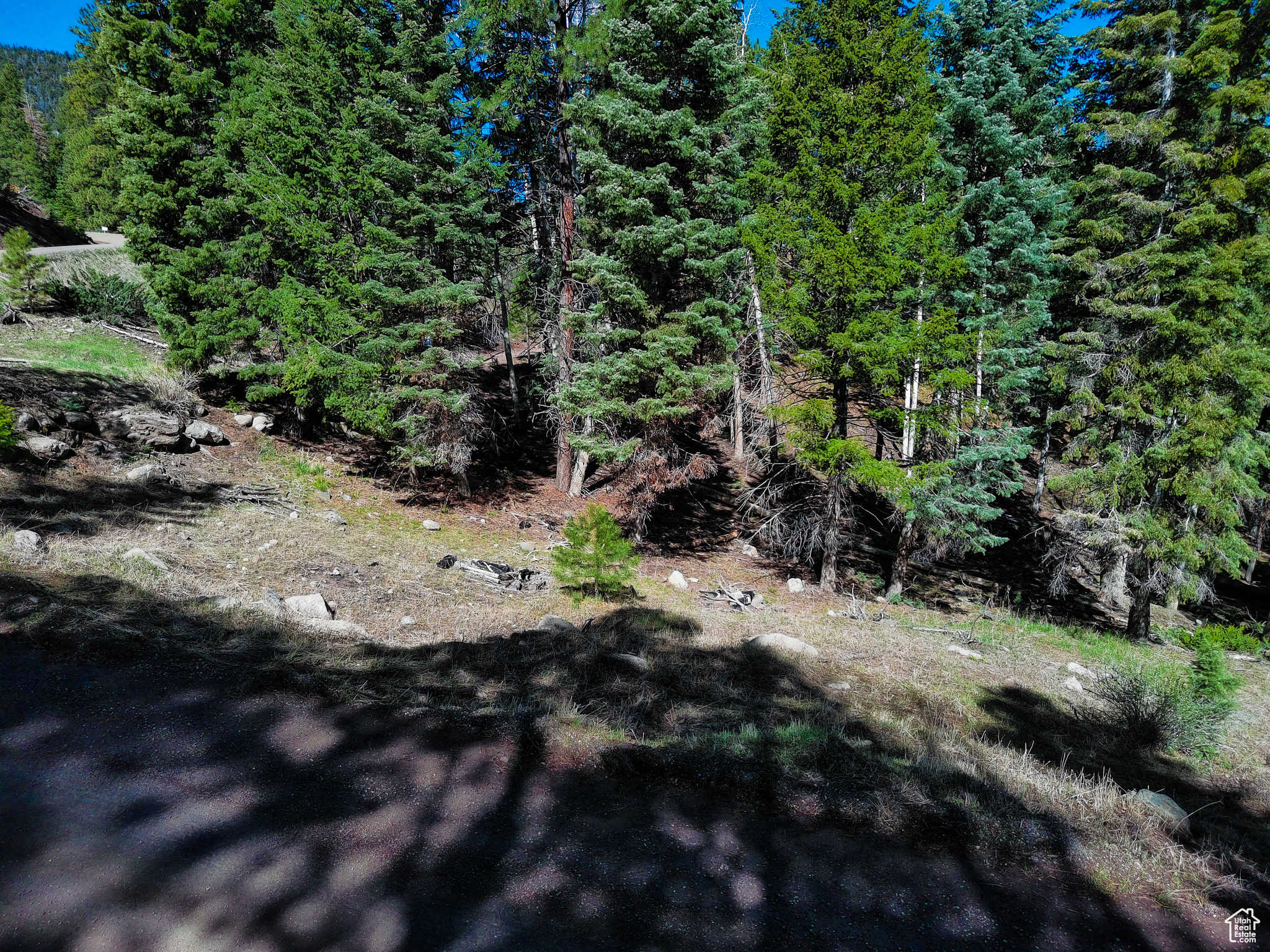WHISPERING PINES - Land