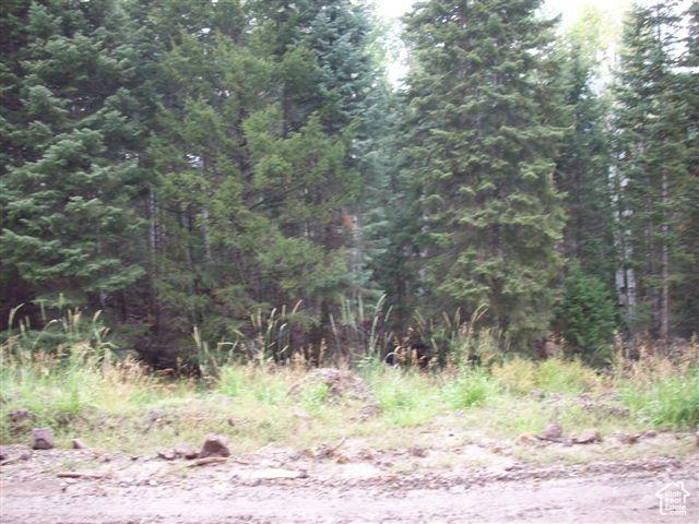 WHISPERING PINES - Land