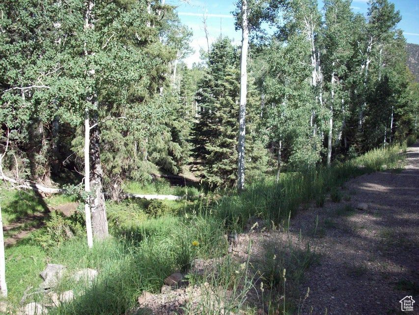 WHISPERING PINES - Land