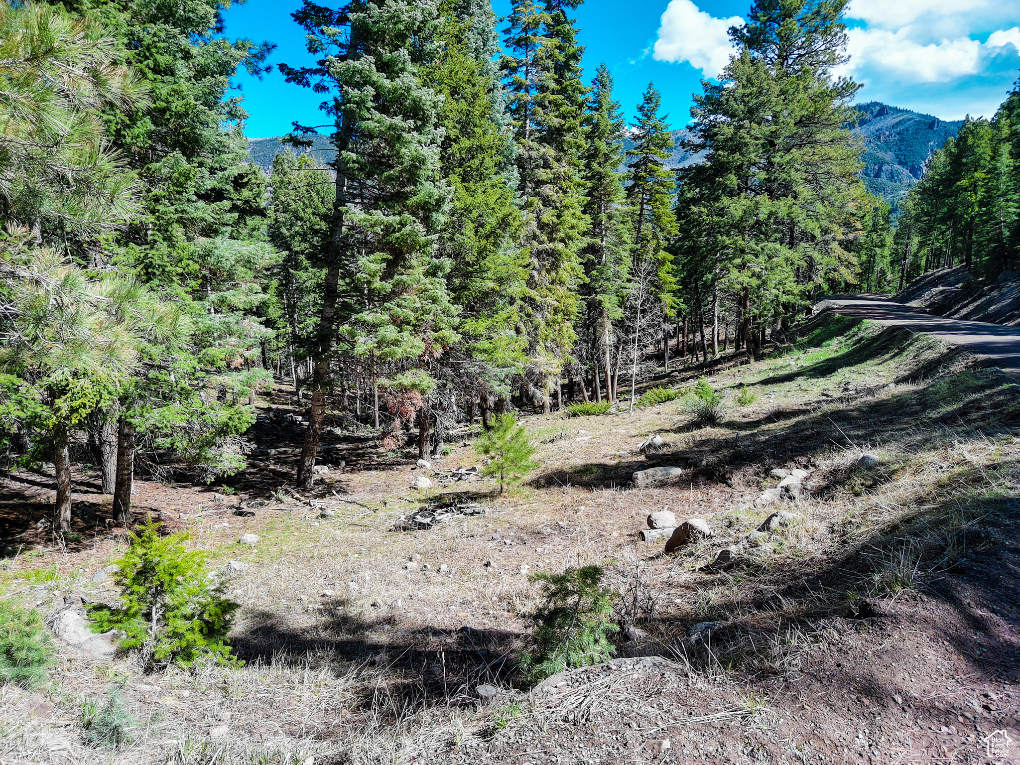 WHISPERING PINES - Land