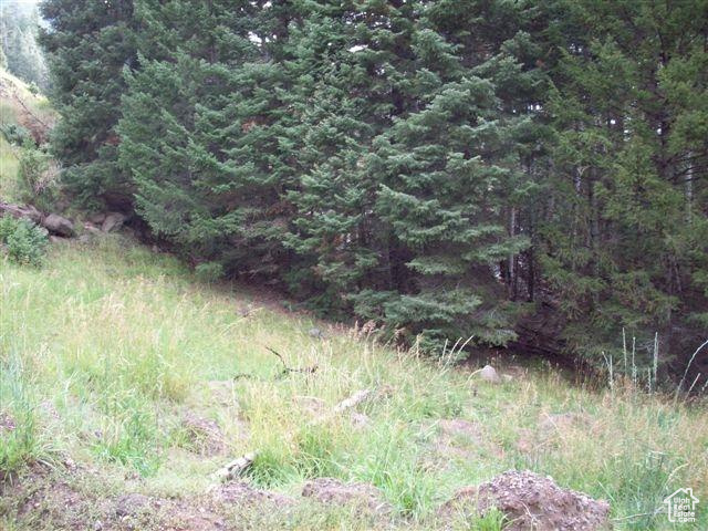 WHISPERING PINES - Land