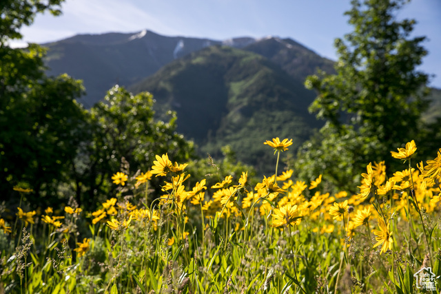 SUMMIT CREEK - Land