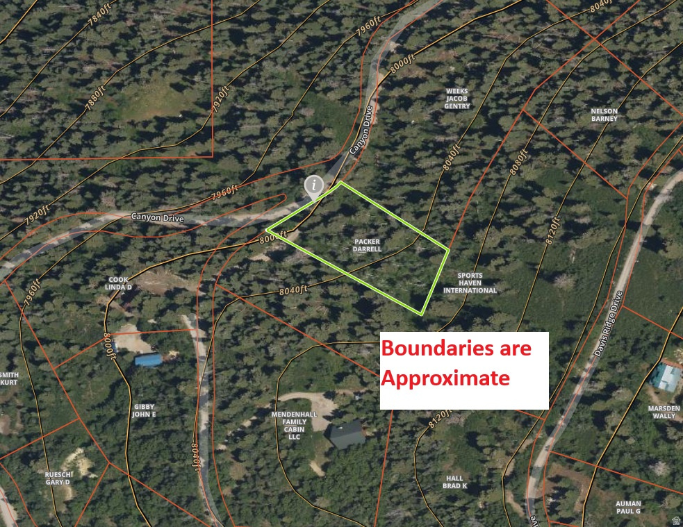 SKYLINE MOUNTAIN RESORT - Land