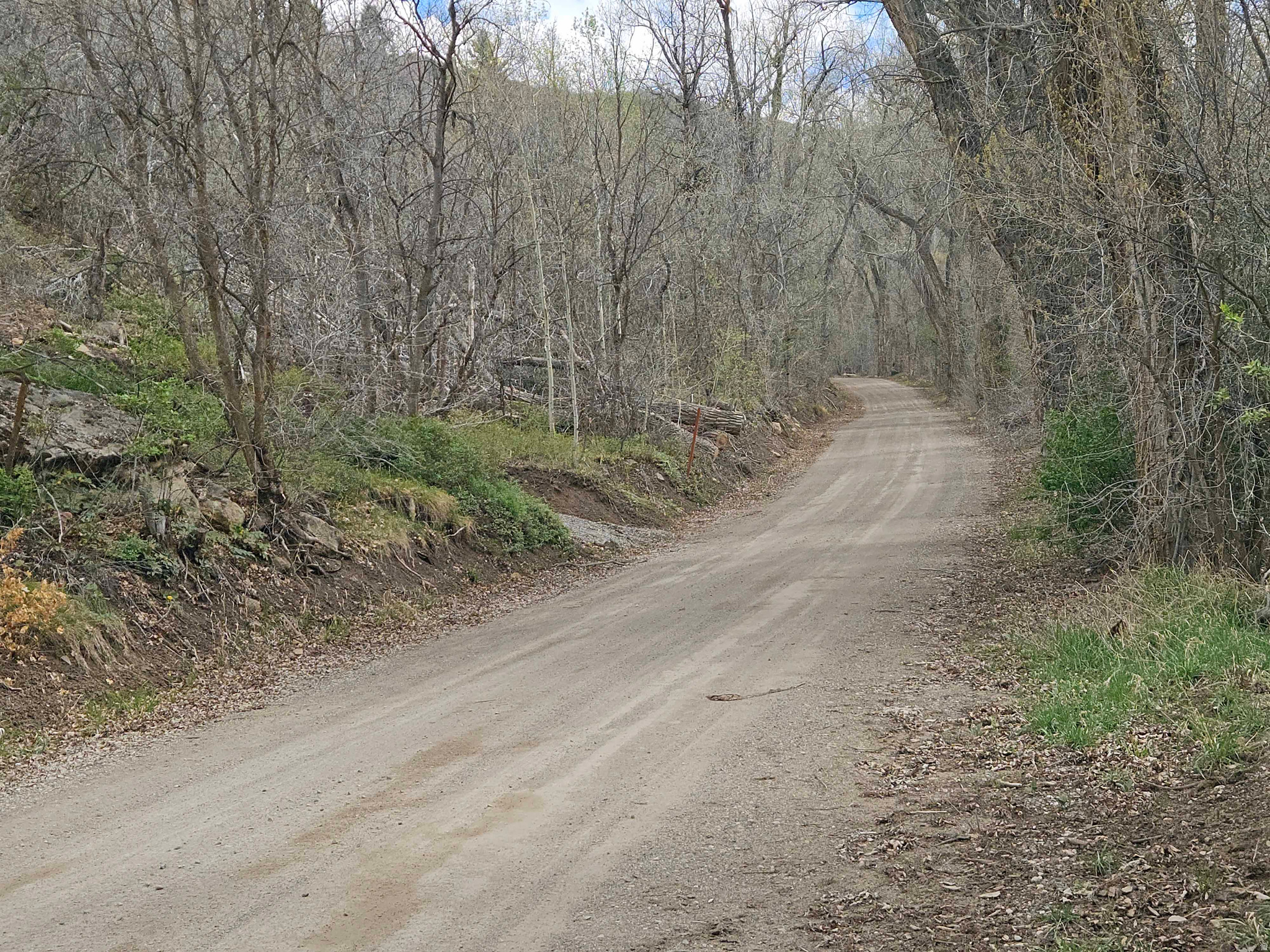 SKYLINE MTN RESORT - Land