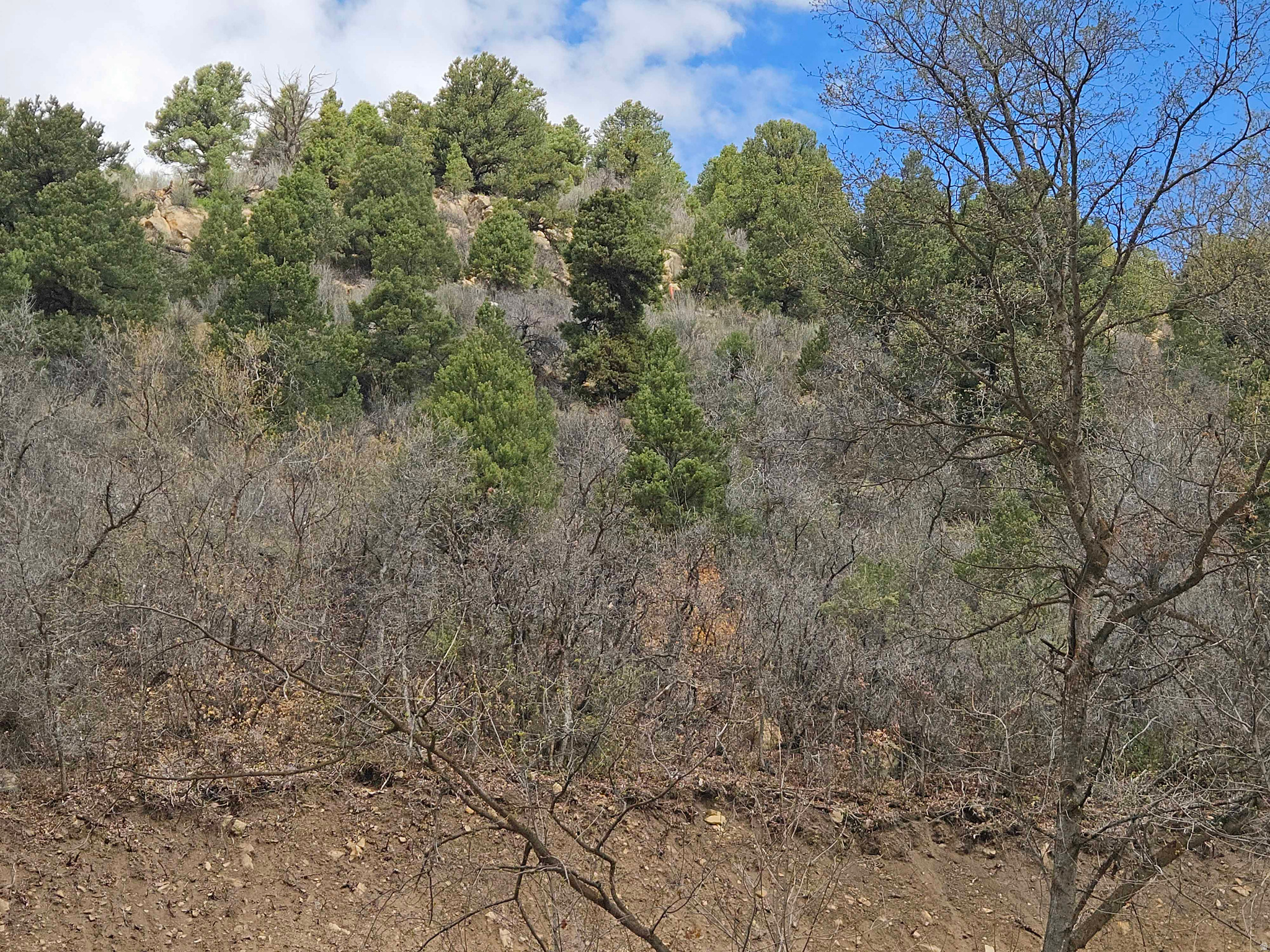 SKYLINE MTN RESORT - Land