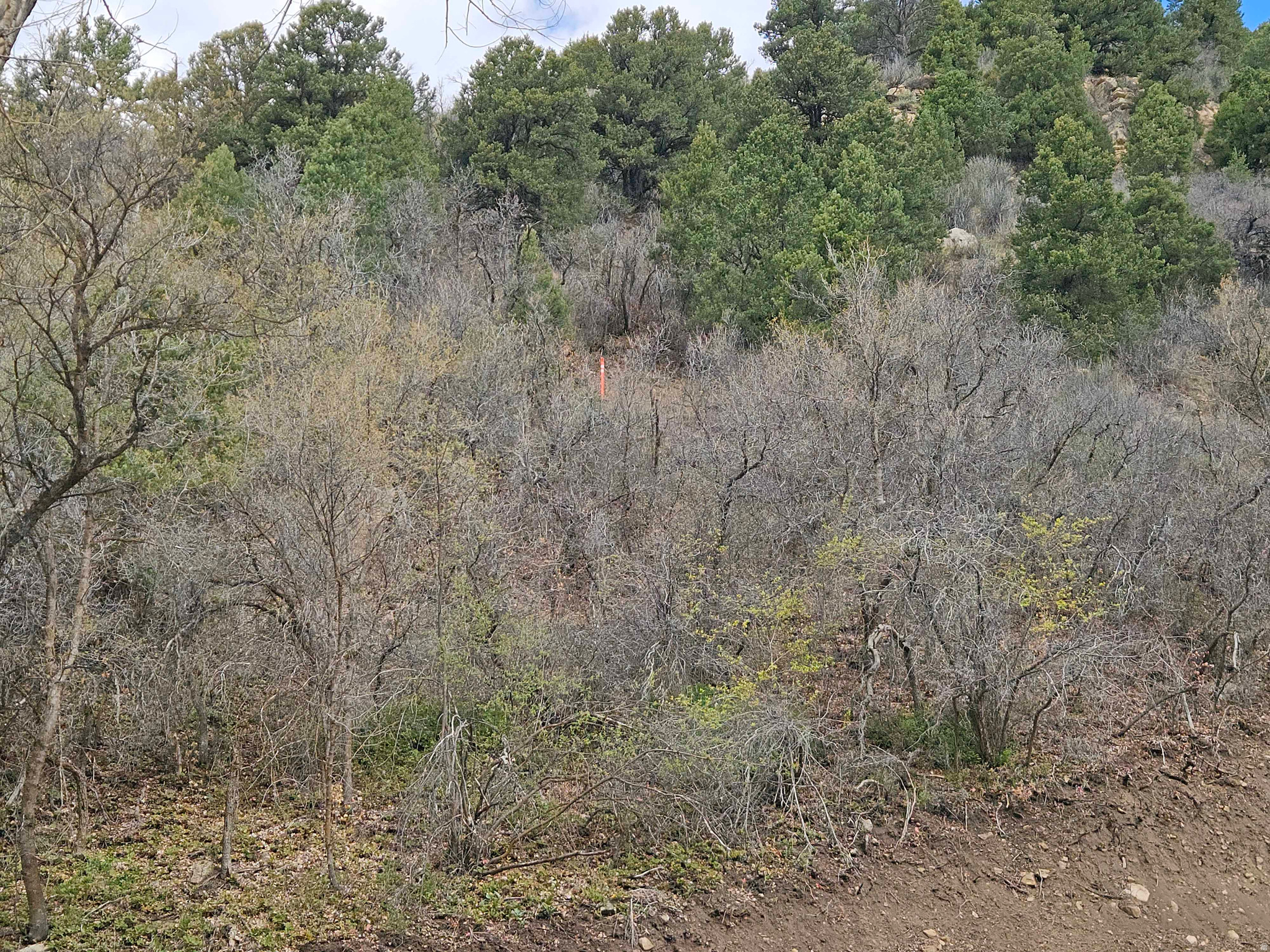 SKYLINE MTN RESORT - Land