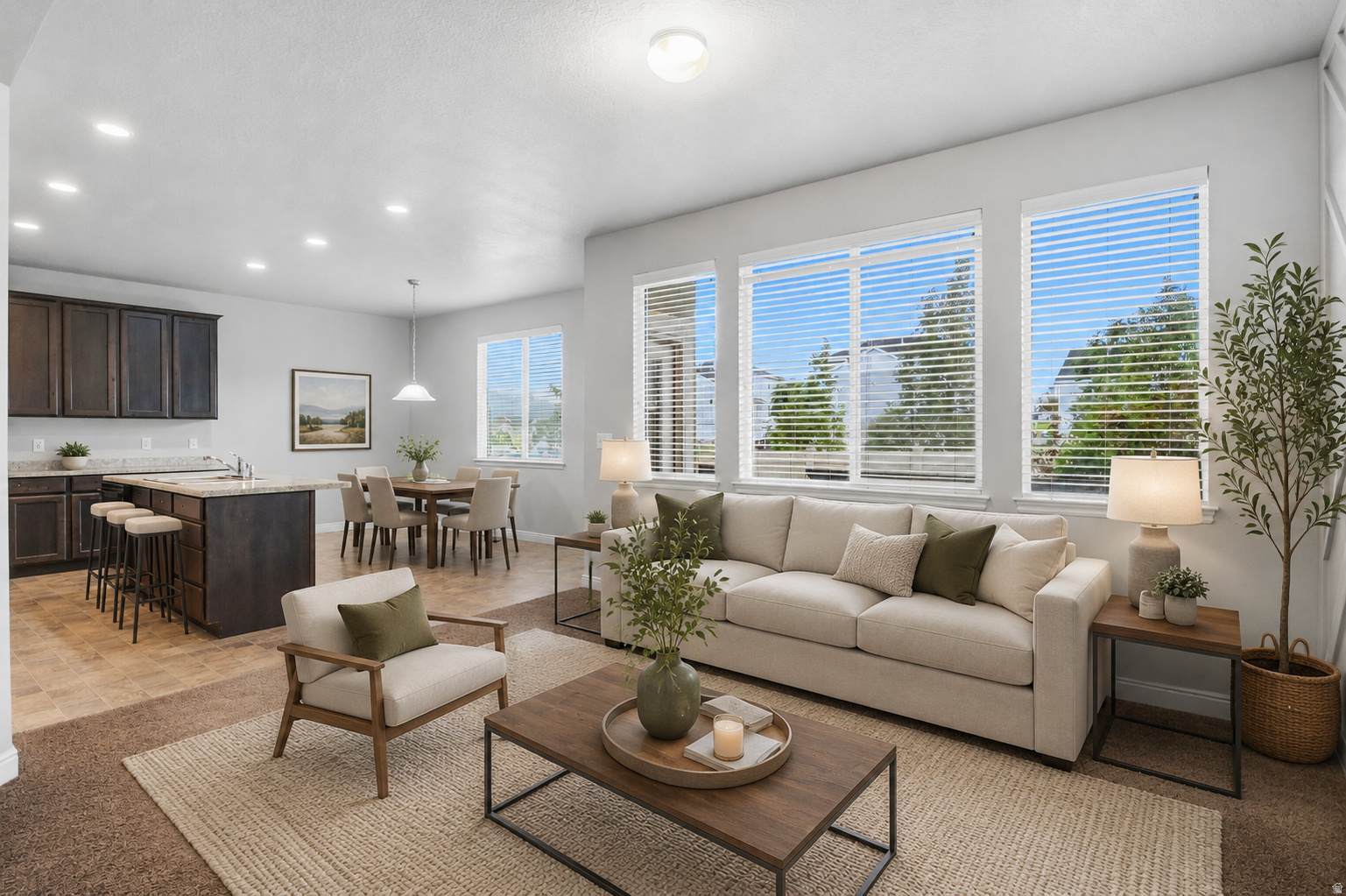 MEADOW VIEW - Residential
