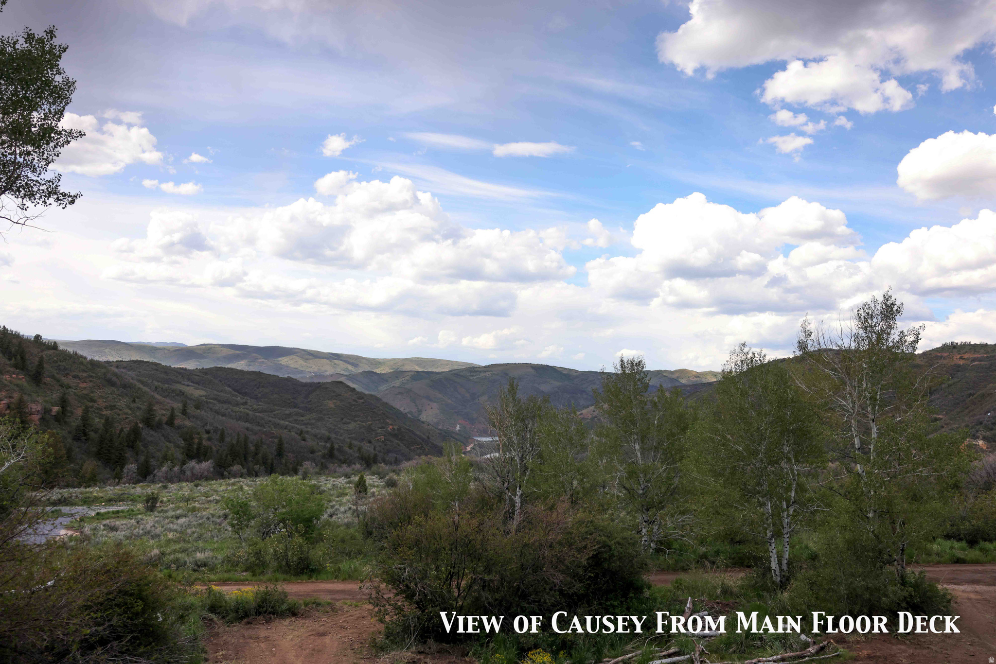 CAUSEY ESTATES - Residential