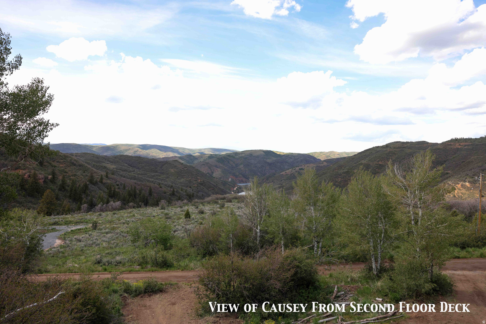 CAUSEY ESTATES - Residential