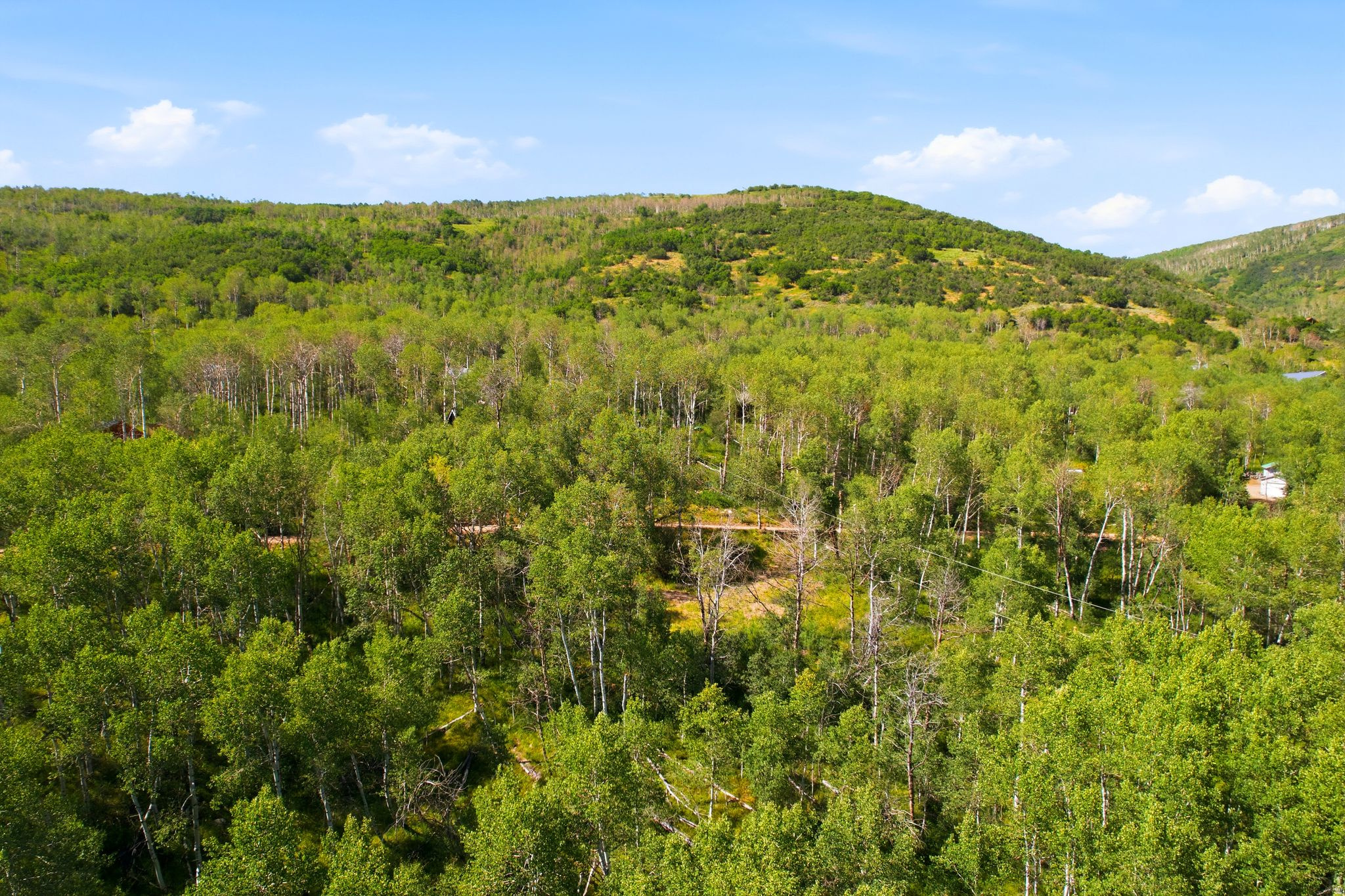 BEAVER SPRINGS RANCH - Land