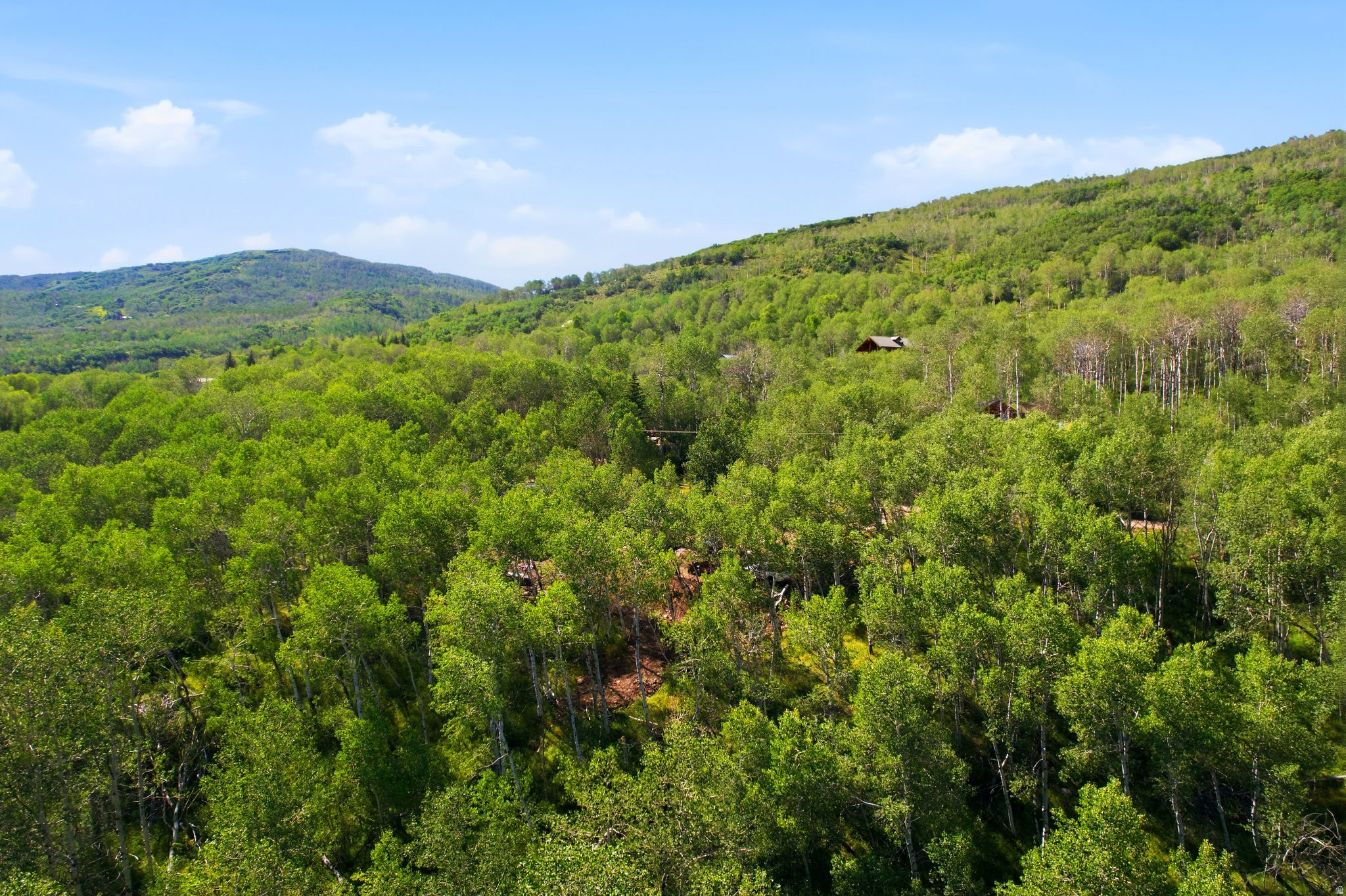 BEAVER SPRINGS RANCH - Land