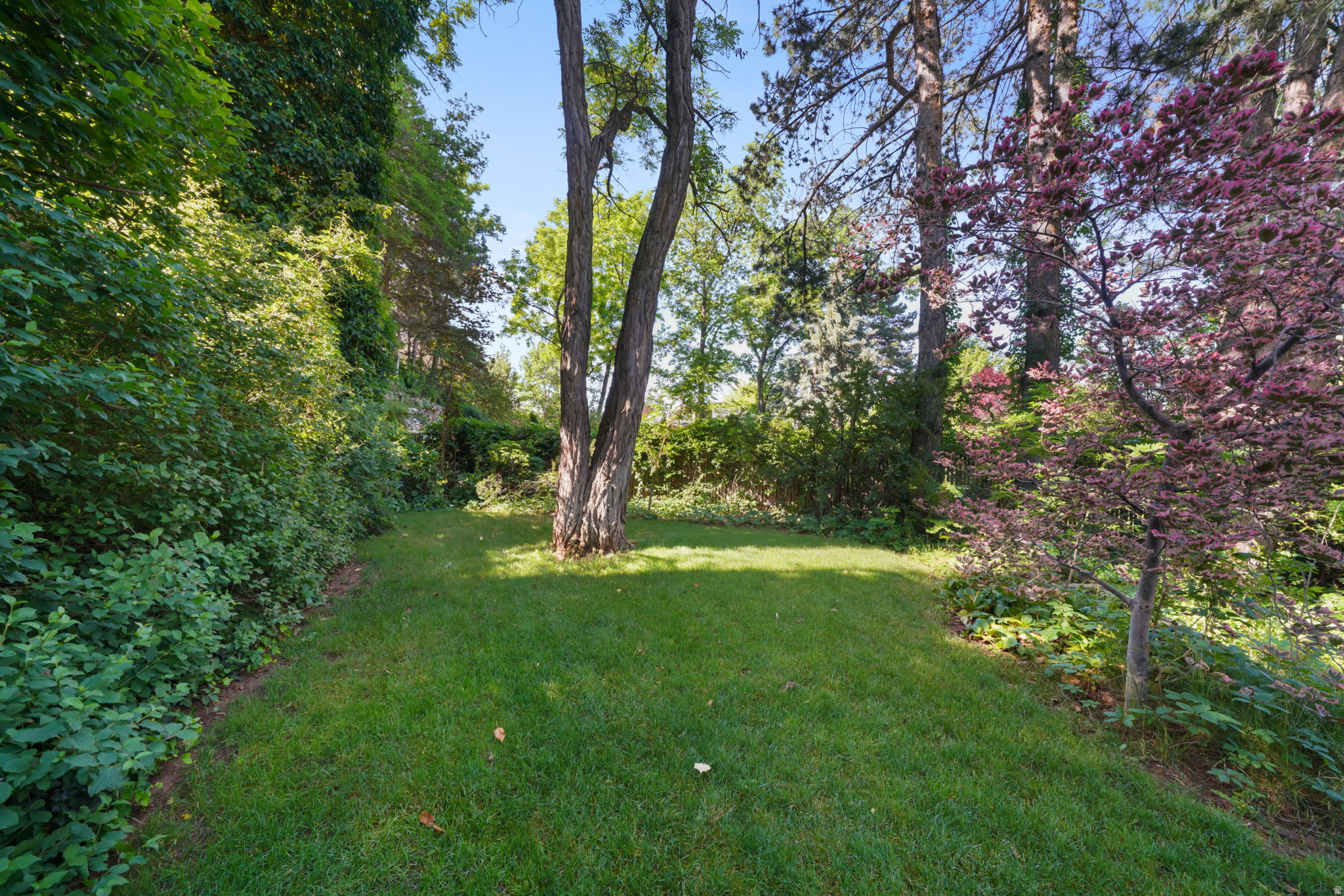 HEATHER CIRCLE - Residential
