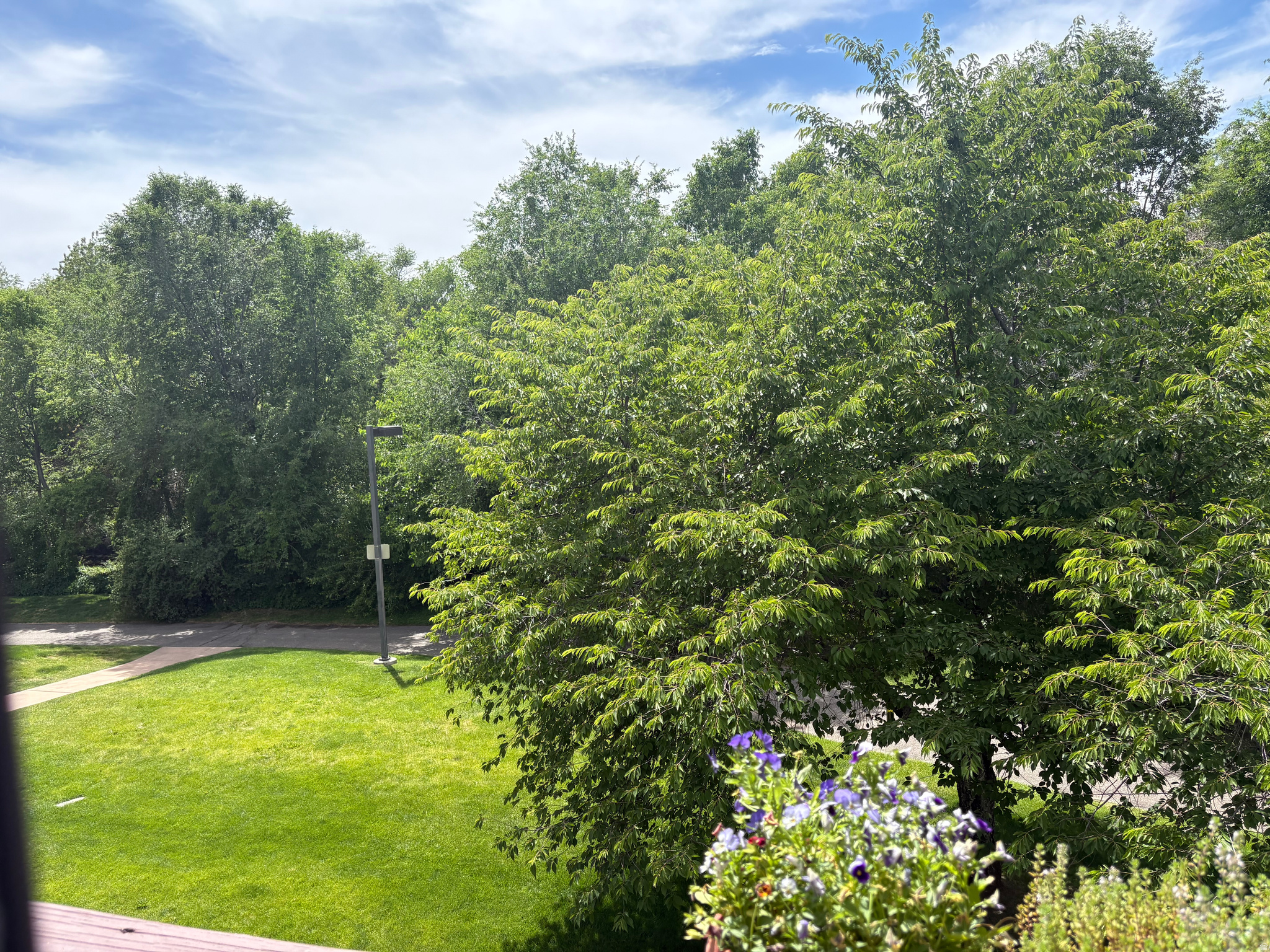 VILLAGE @ RIVERWOODS - Residential