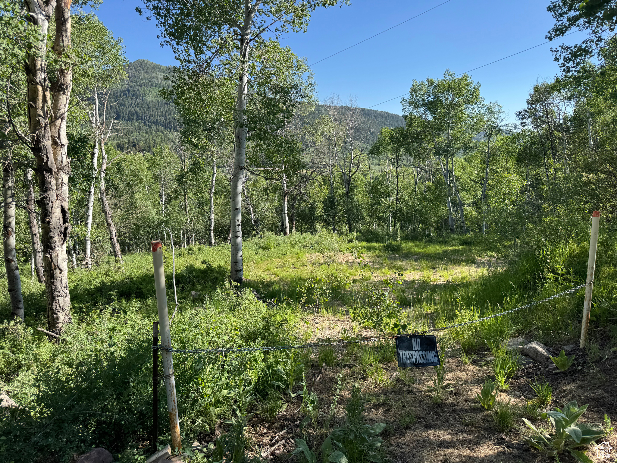 BEAVER SPRINGS - Land