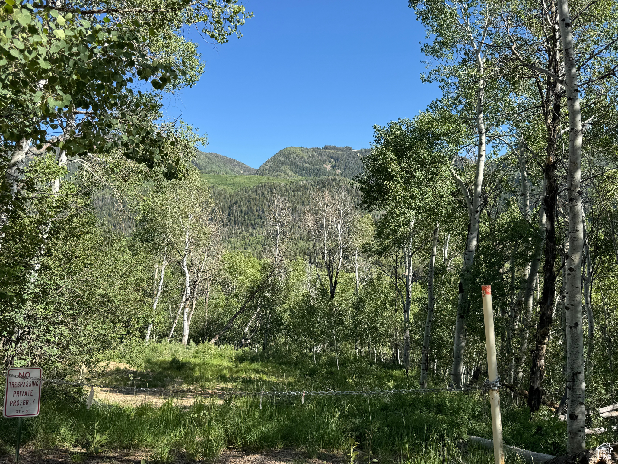 BEAVER SPRINGS - Land