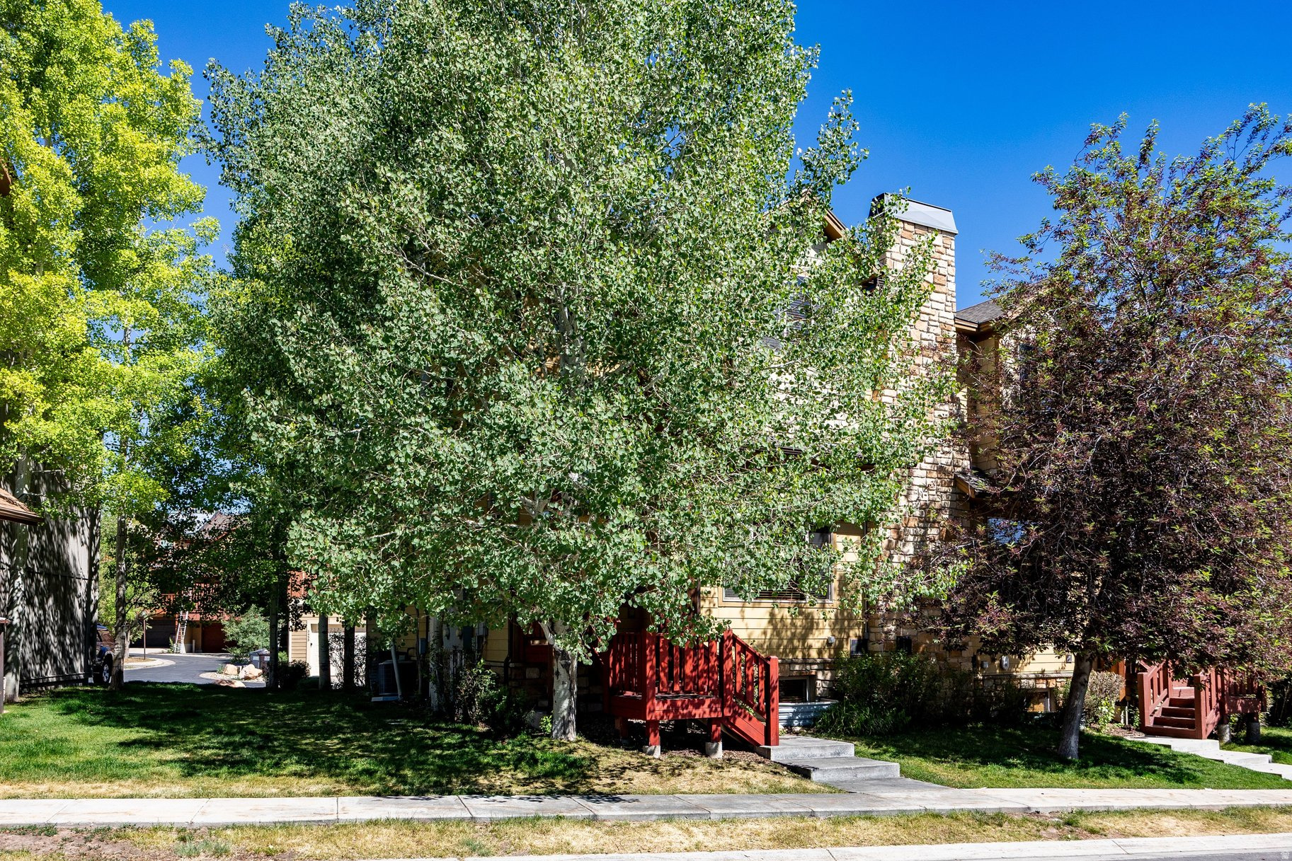 BEAR HOLLOW VILLAGE - Residential