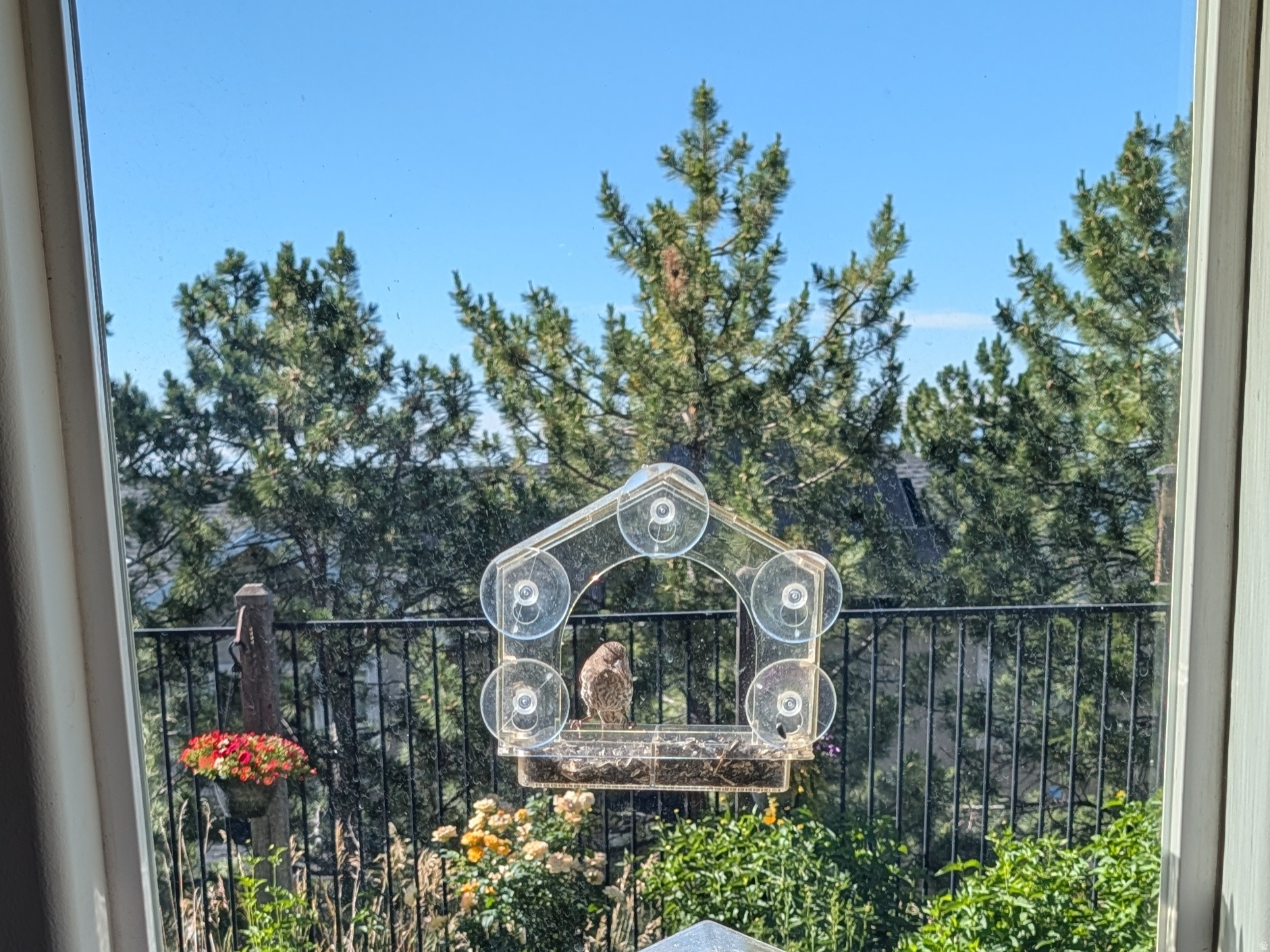 SUNCREST - Residential