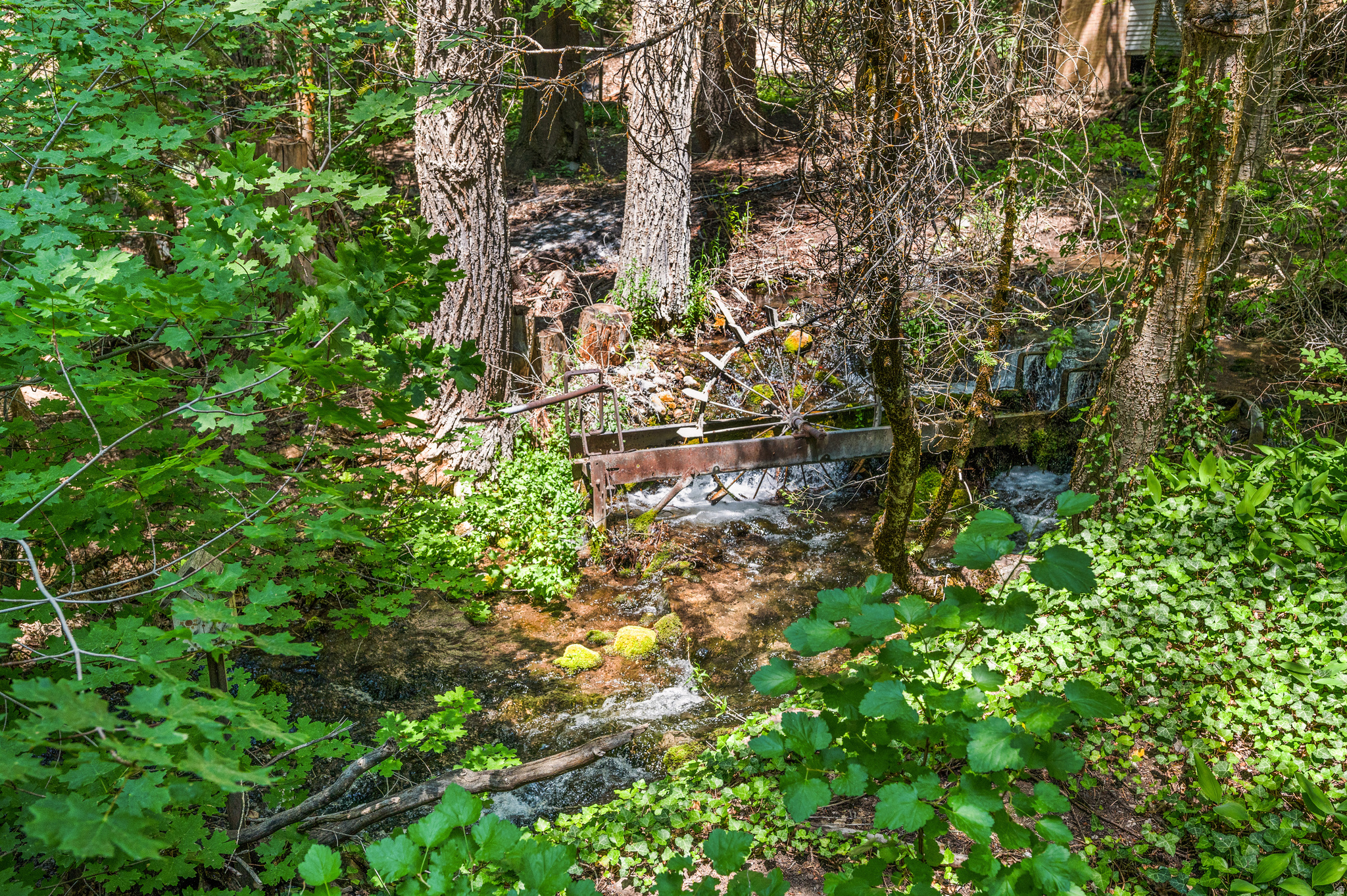 PORTER FORK #1 - Residential