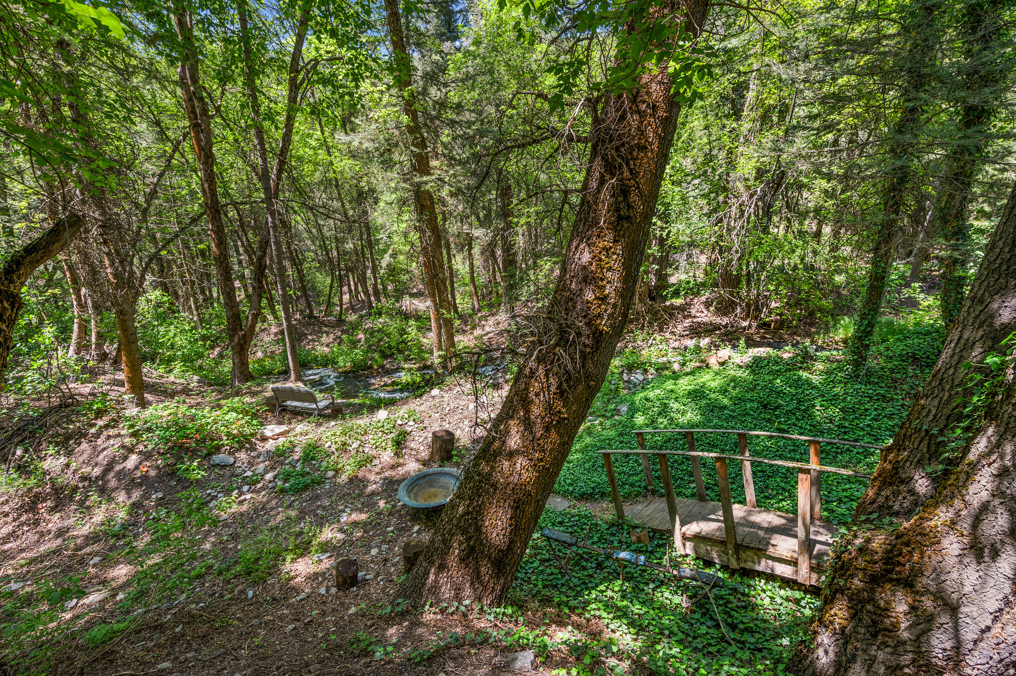 PORTER FORK #1 - Residential