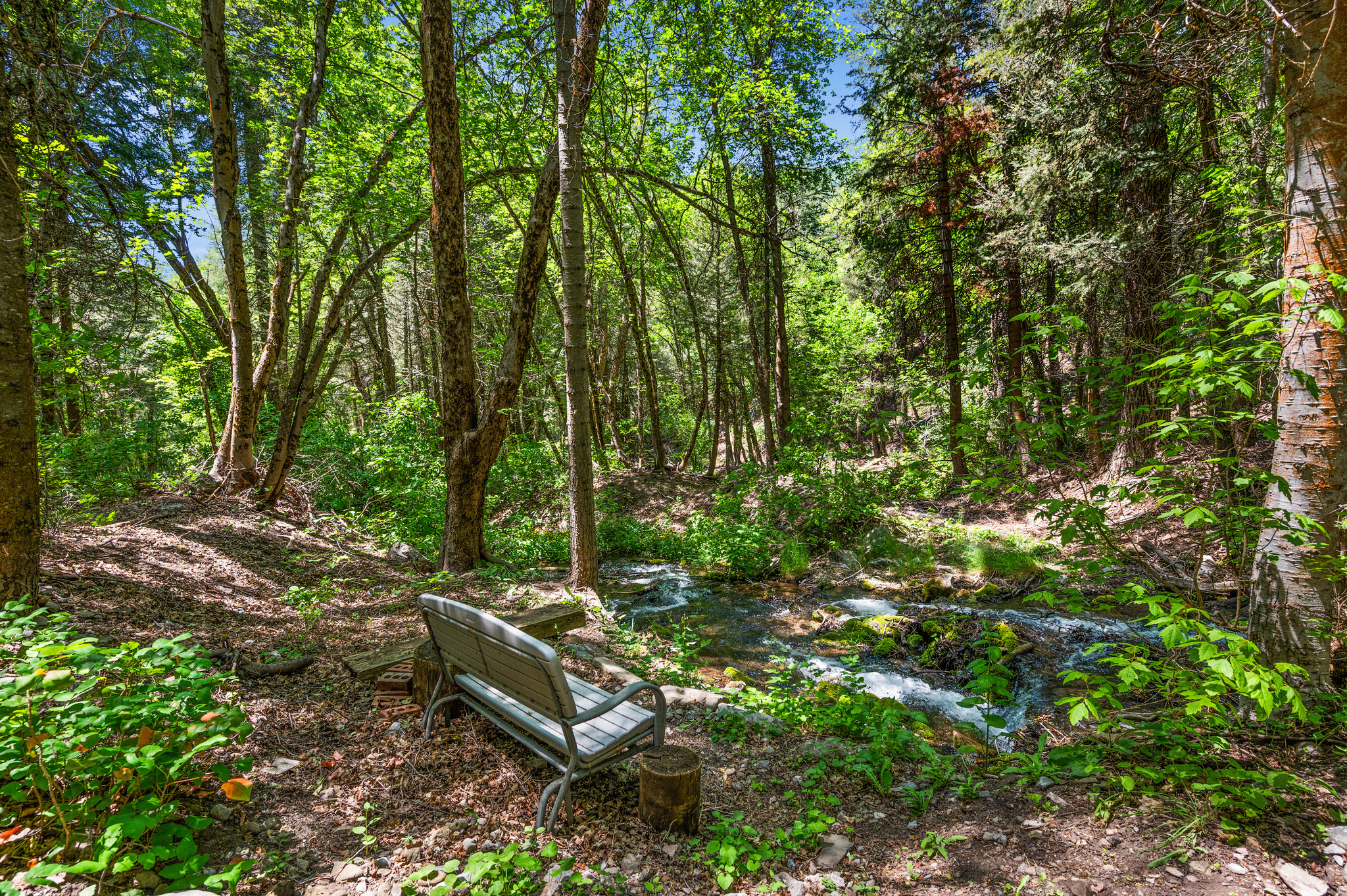 PORTER FORK #1 - Residential