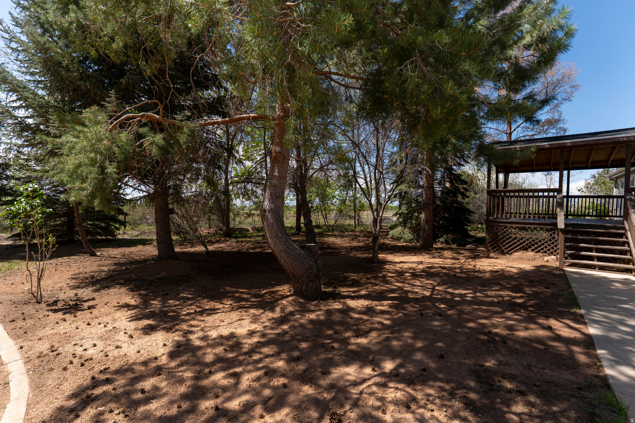 CANYON RIM ESTATES - Residential