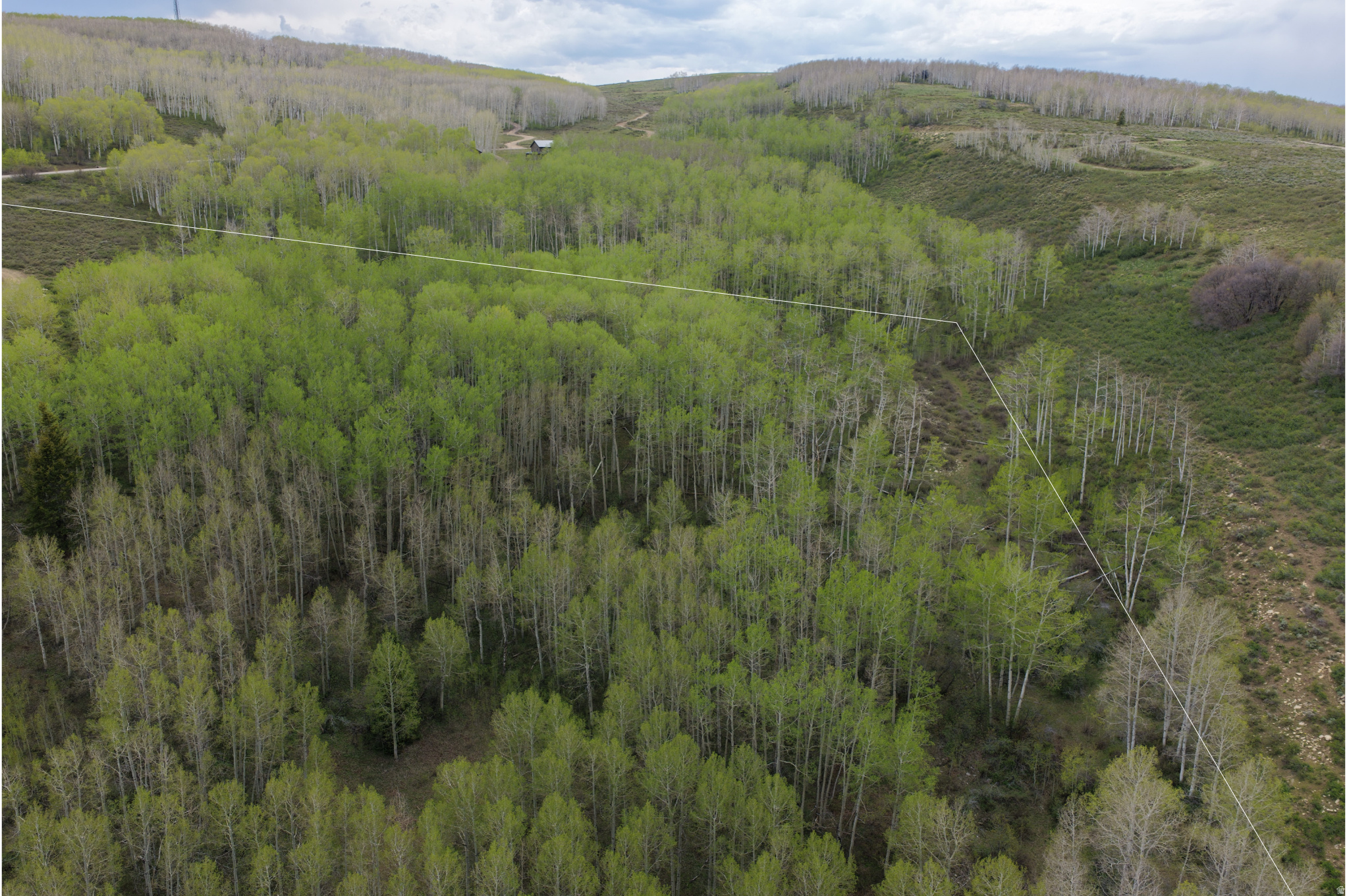 SOLDIER SUMMIT ESTATES - Land