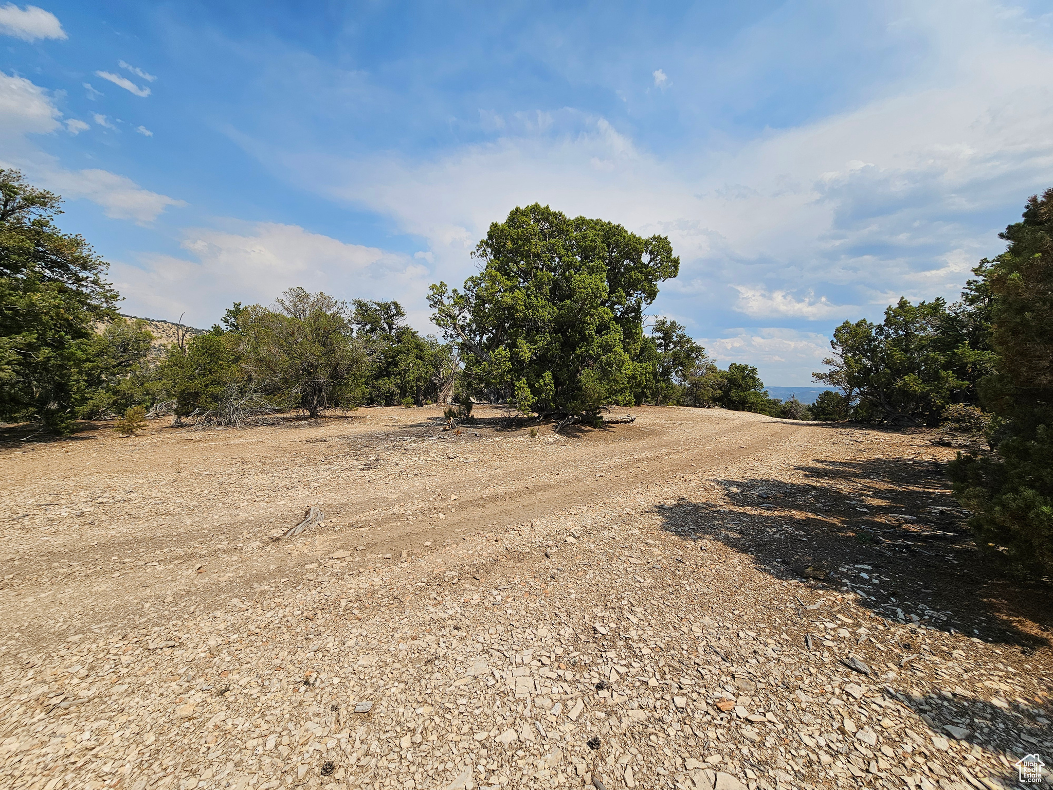 DEER MEADOWS - Land