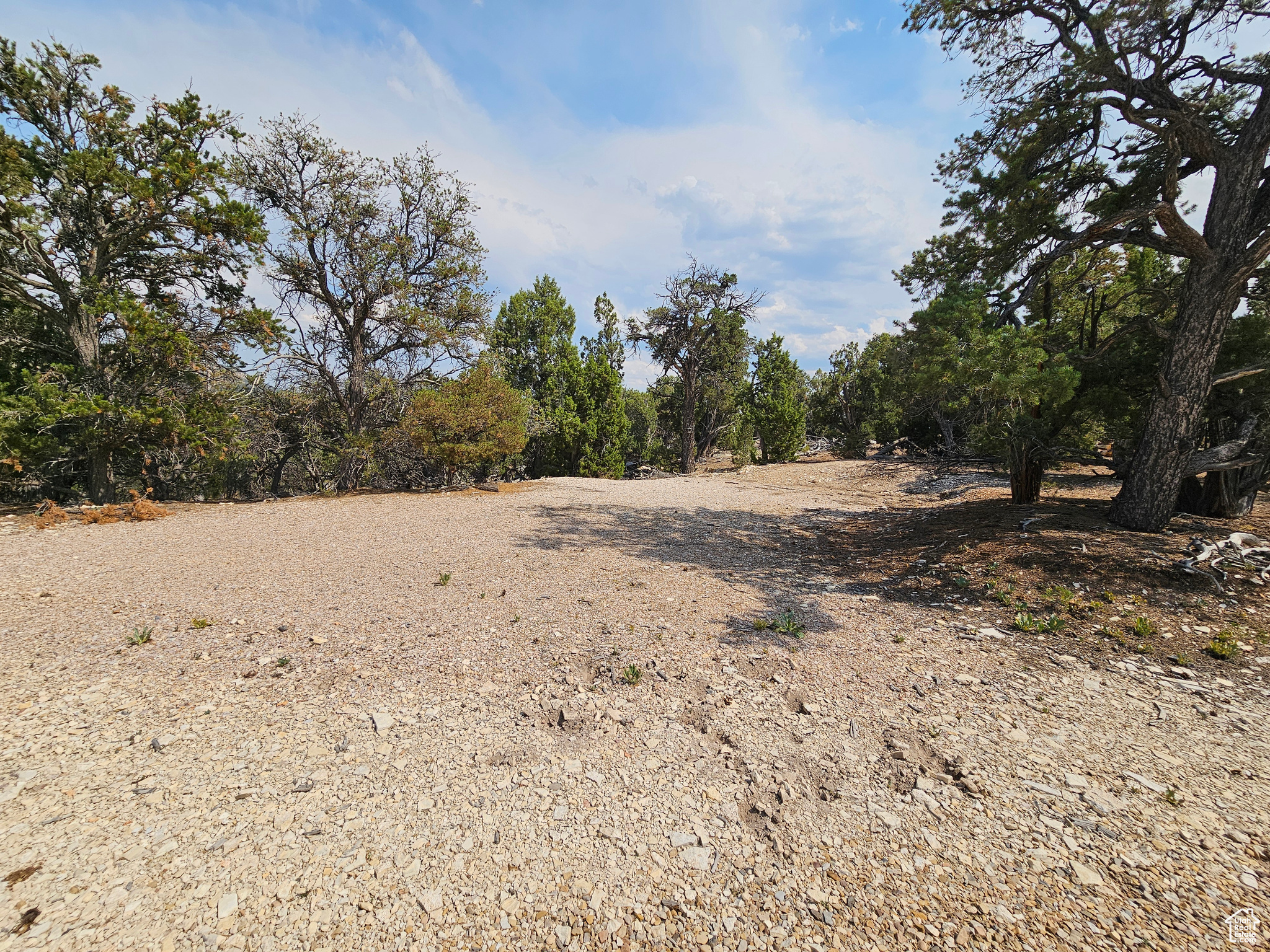 DEER MEADOWS - Land