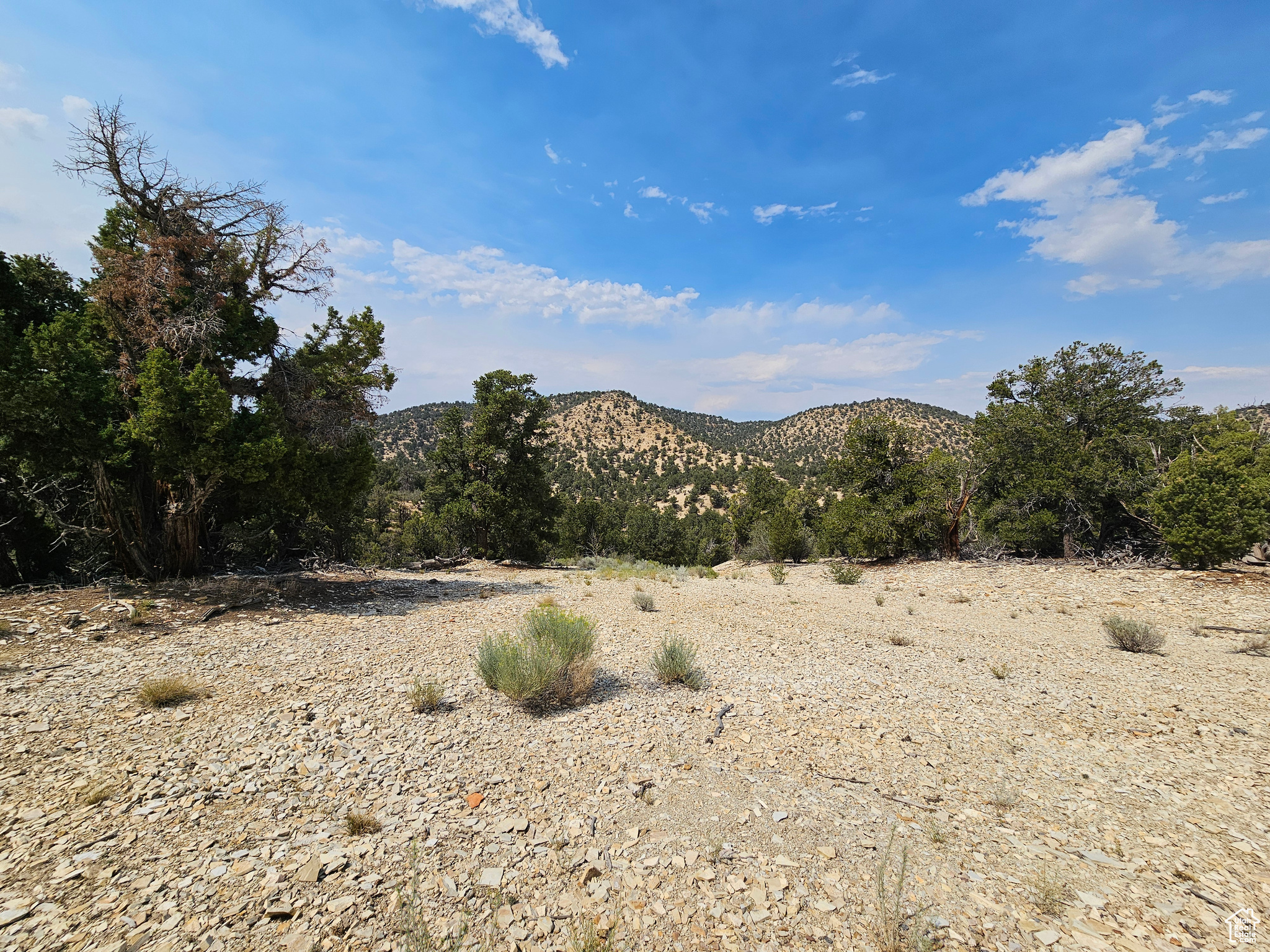 DEER MEADOWS - Land