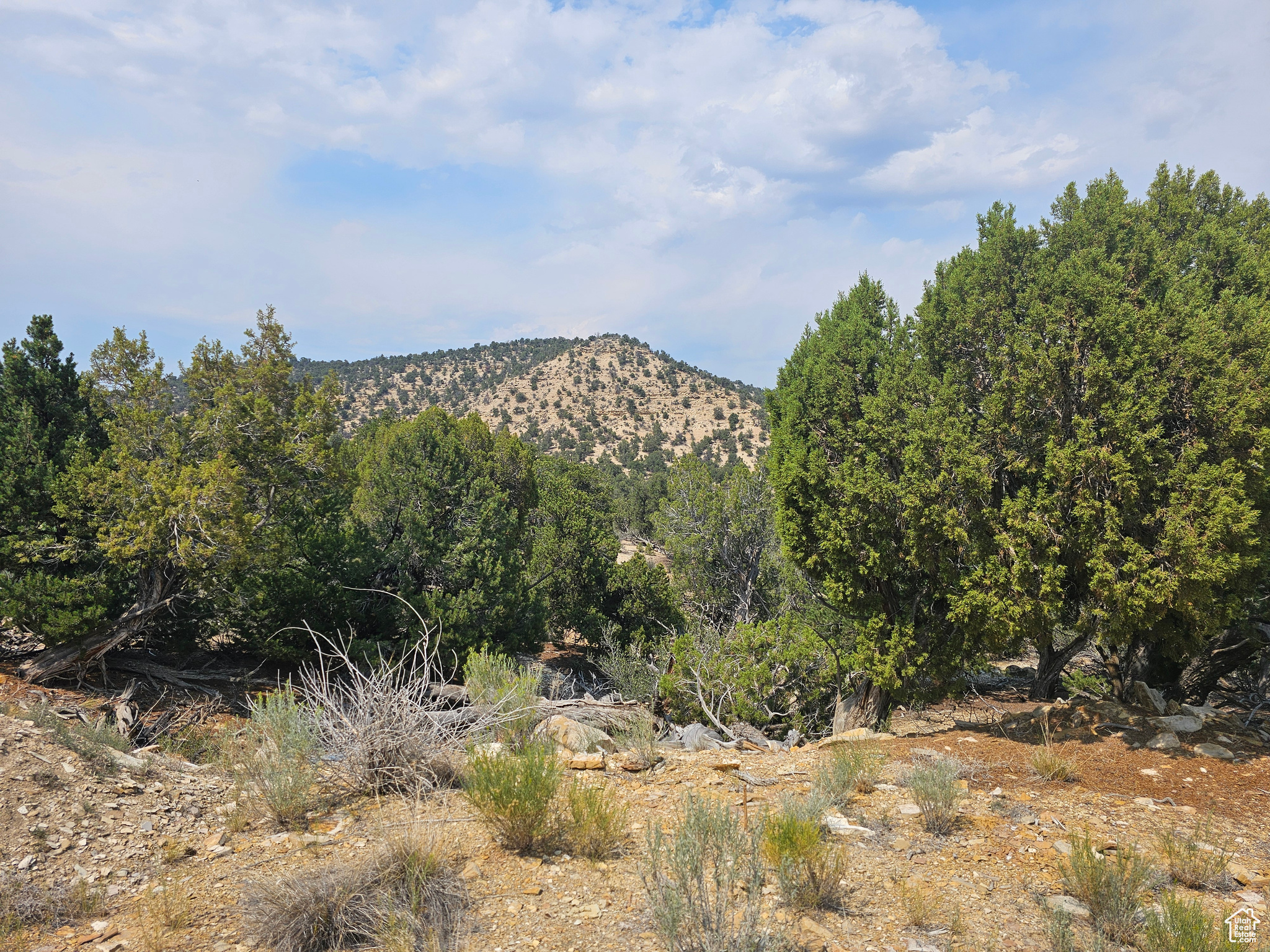 DEER MEADOWS - Land