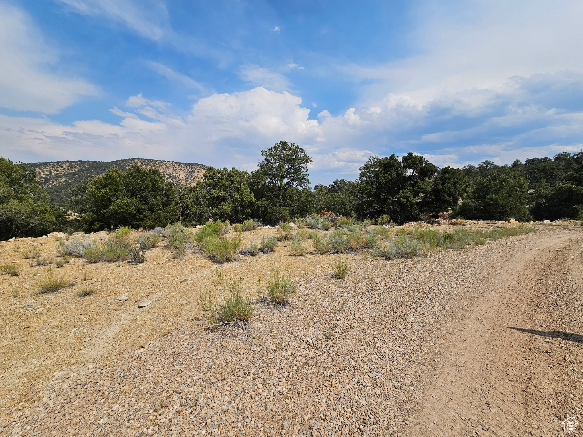 DEER MEADOWS - Land