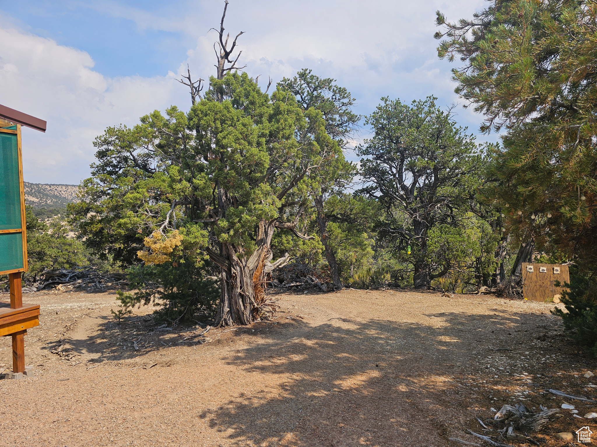 DEER MEADOWS - Land