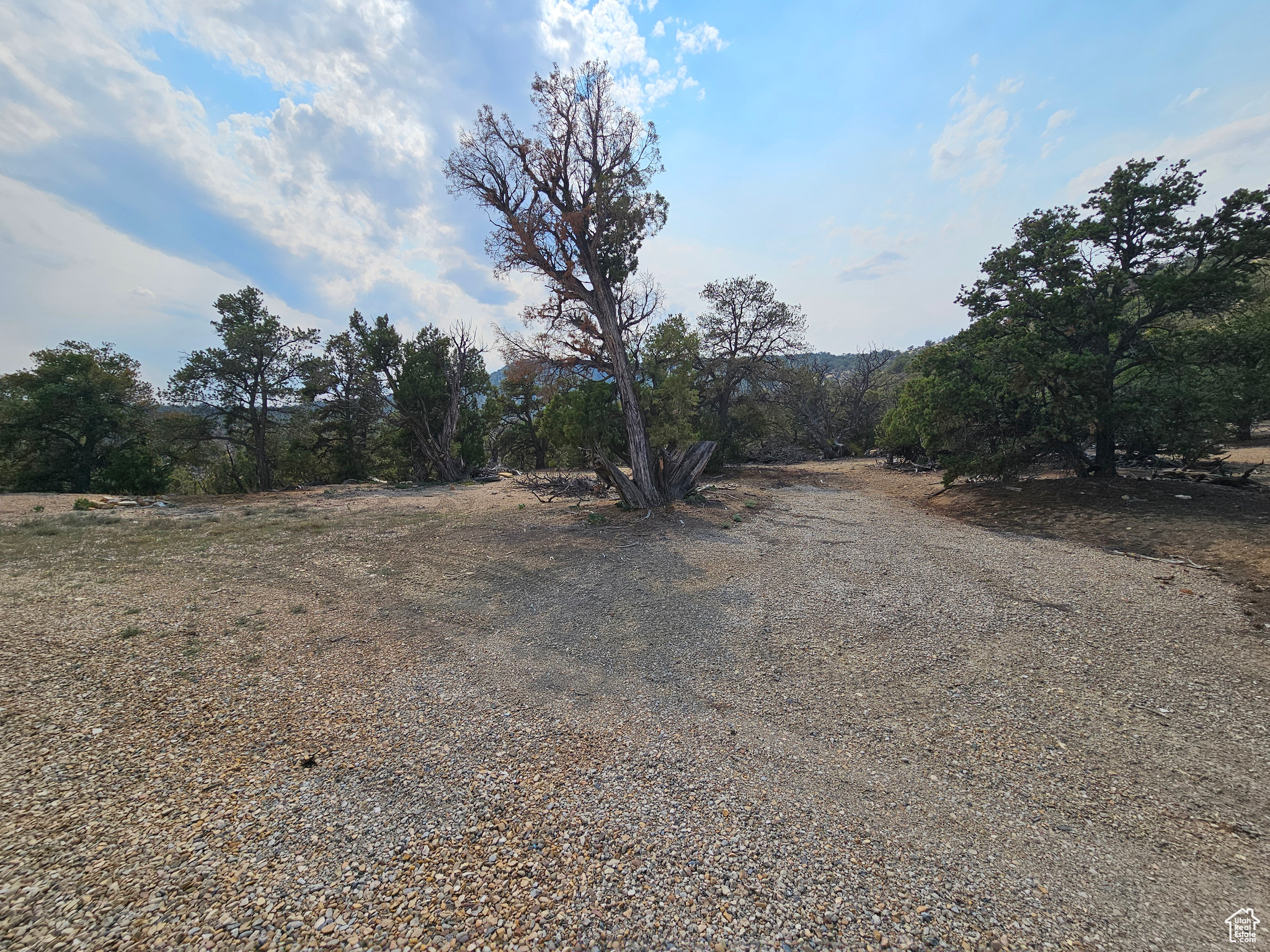 DEER MEADOWS - Land