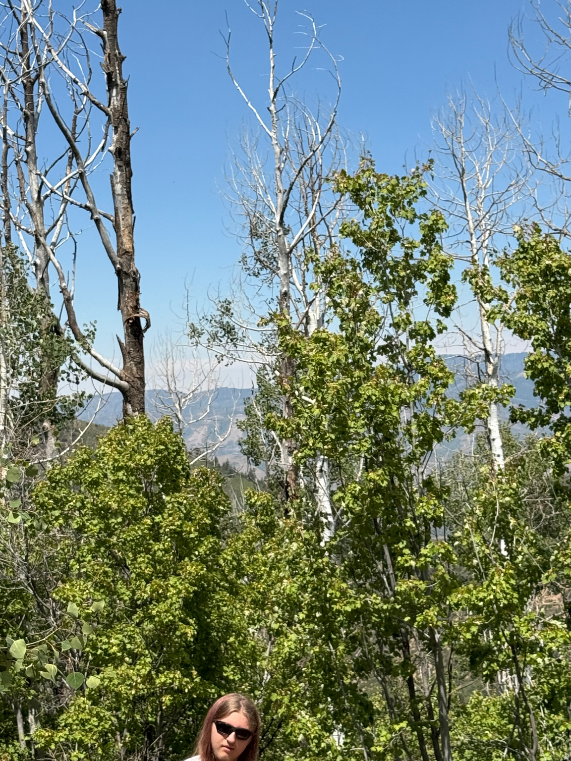 LOST ACRES - Land