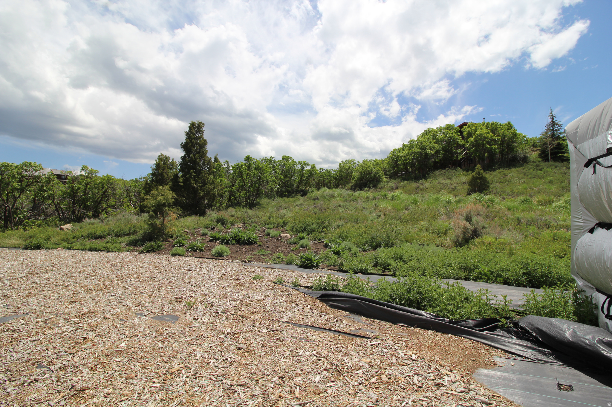 TIMBER LAKES - Land